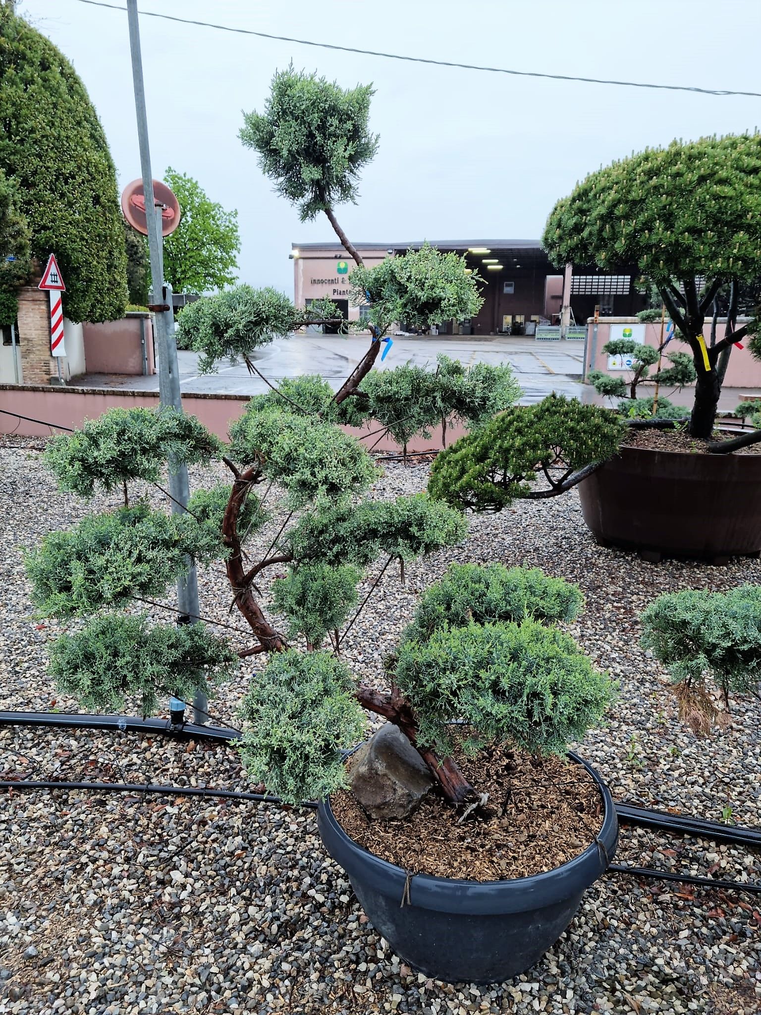 1652374607 PHOTO 2022 05 04 09 09 24 fa325930