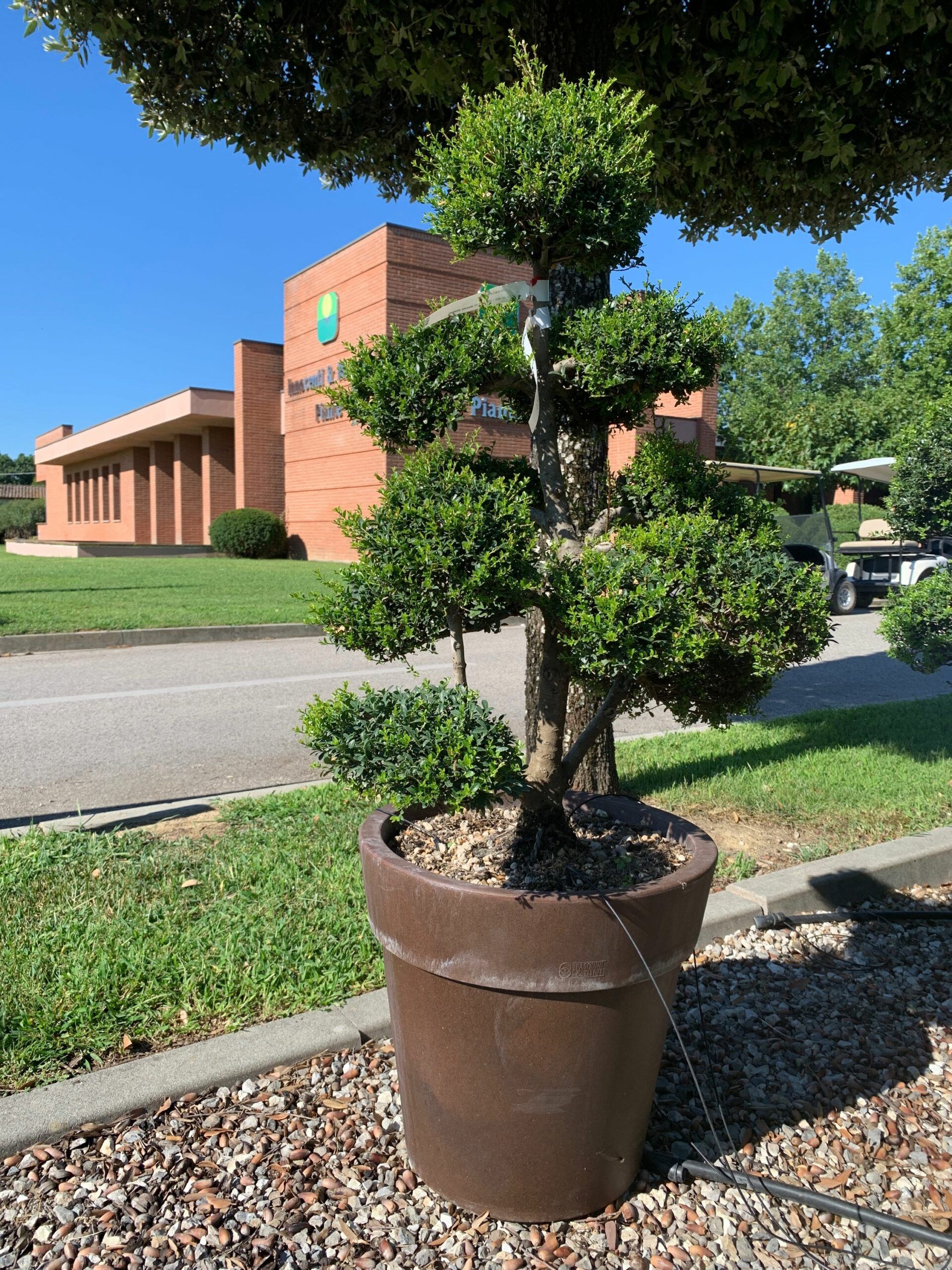 1659598559 scaled fa000f0d