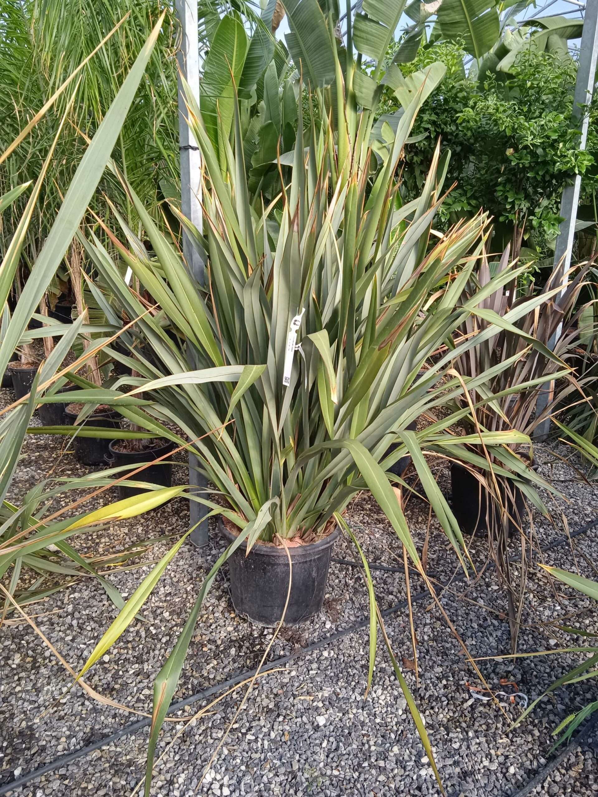 1662447689 scaled fa398789