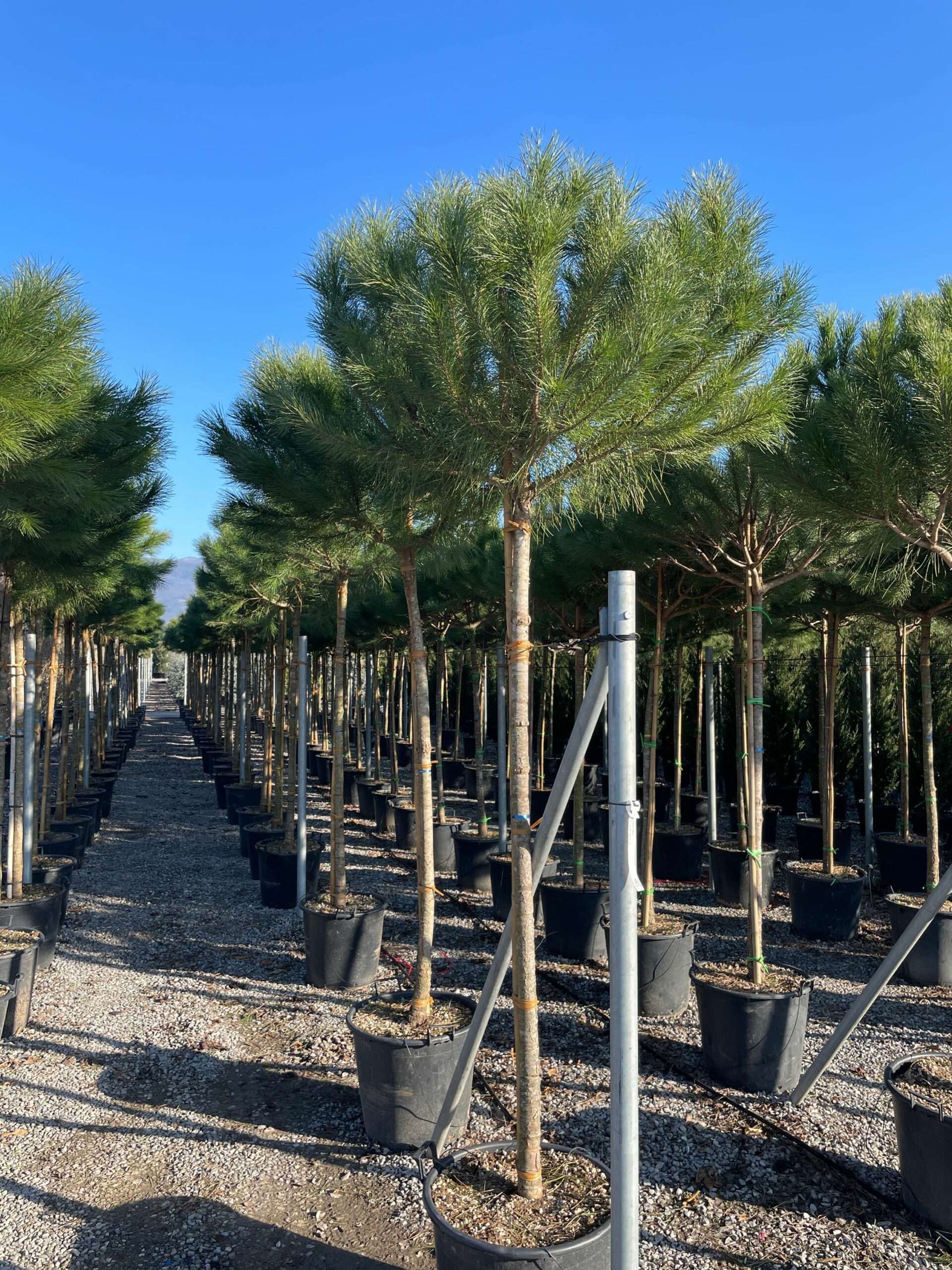 1675155095 scaled fabbddbd