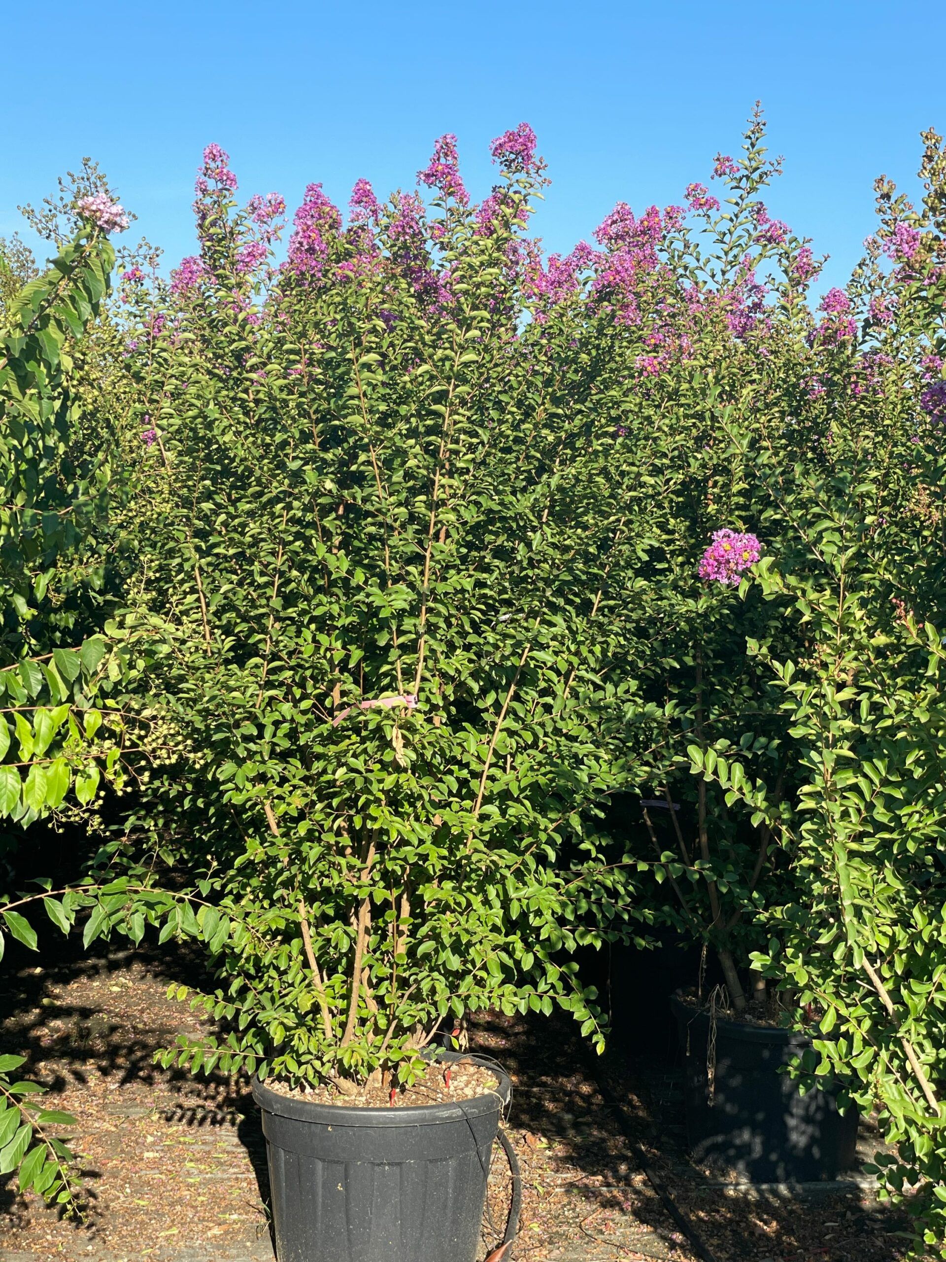 1692772553 scaled fa0bb014