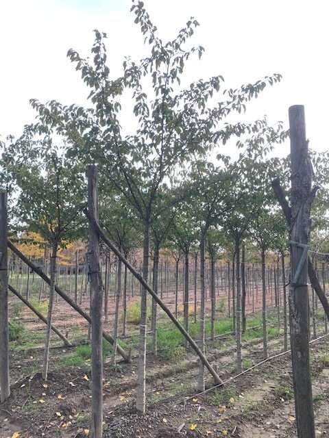 1604128240 rotated fb7290cd