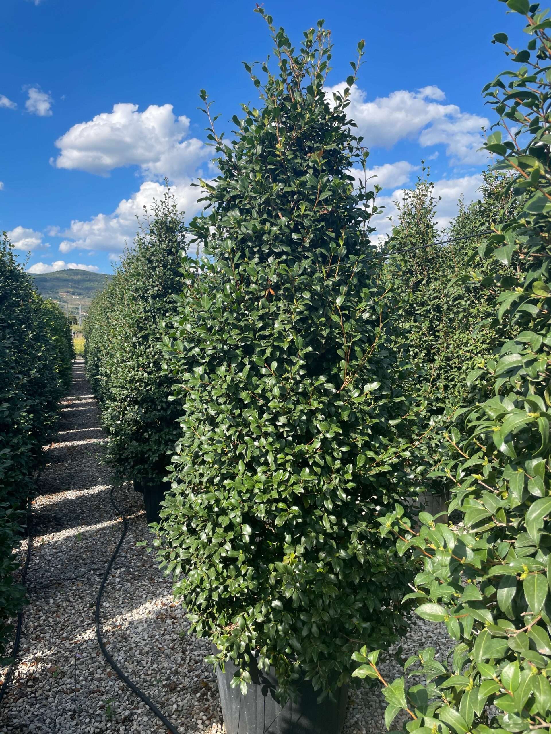 1630593083 scaled fb847ec5