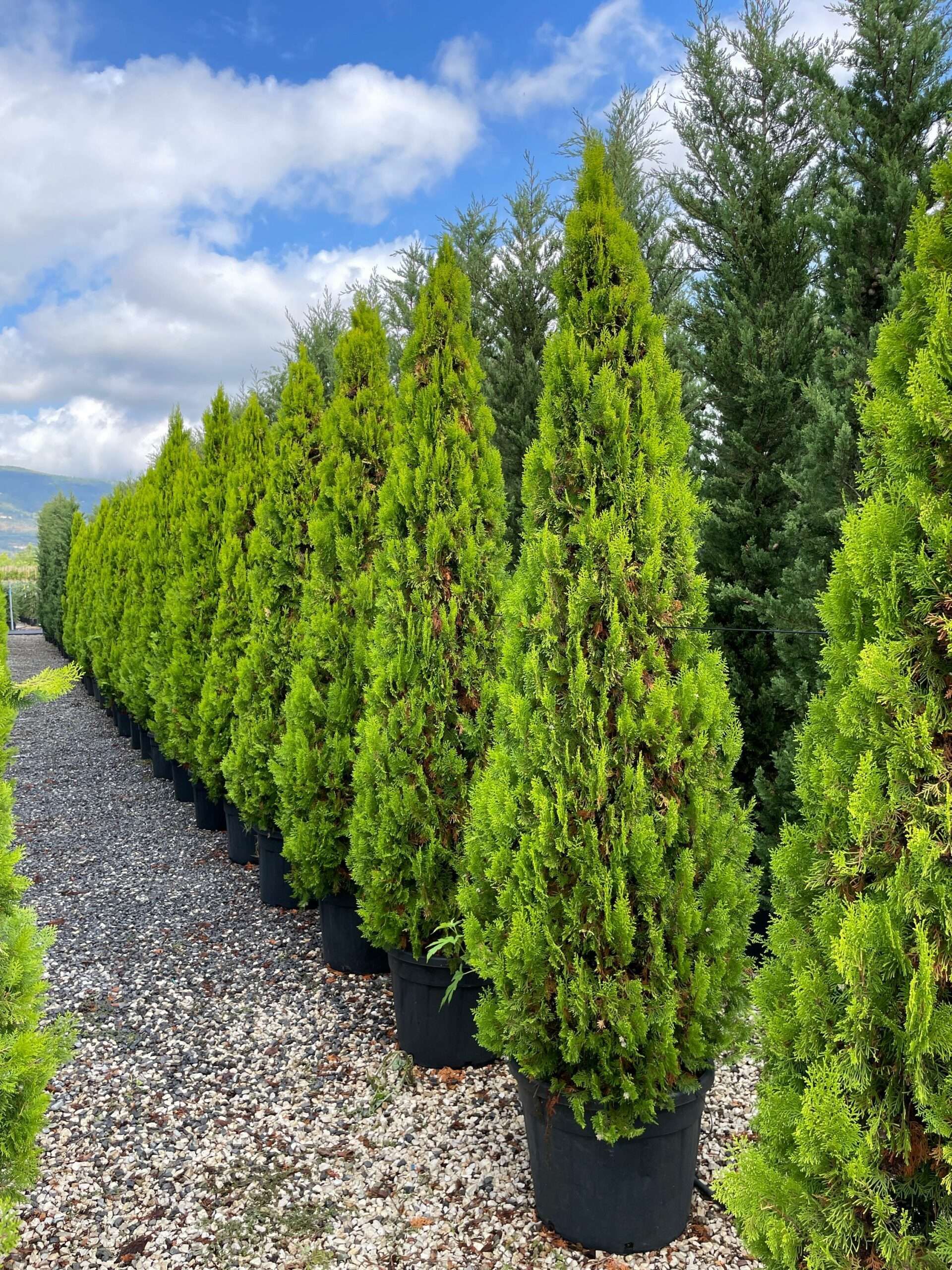 1631959086 scaled fbd0d041