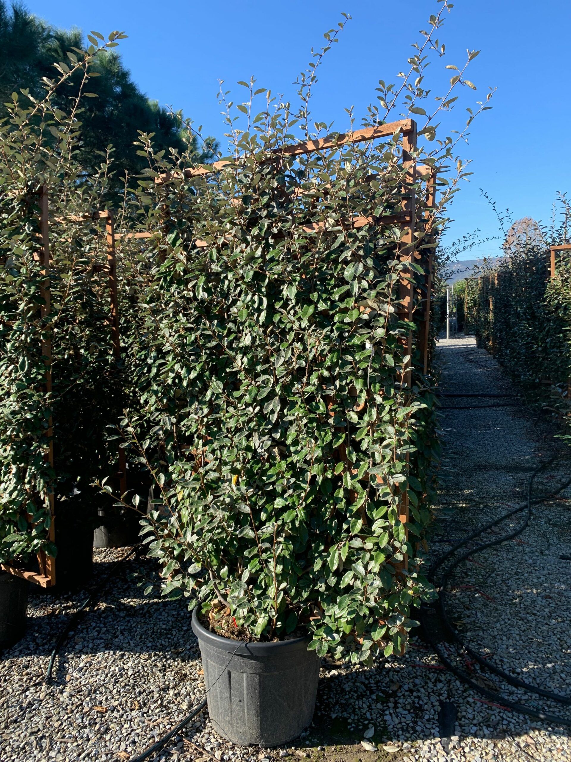 1637748385 scaled fbddc084