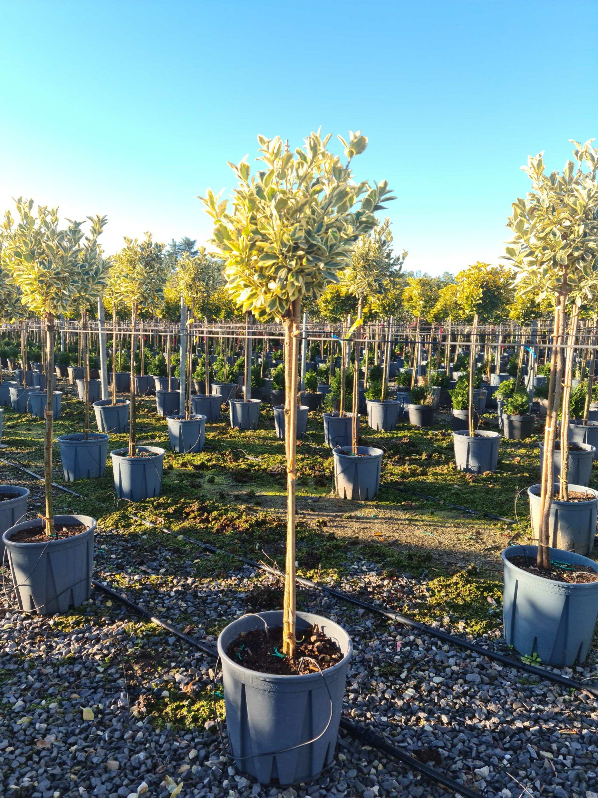 1639642958 scaled fb6e7a17