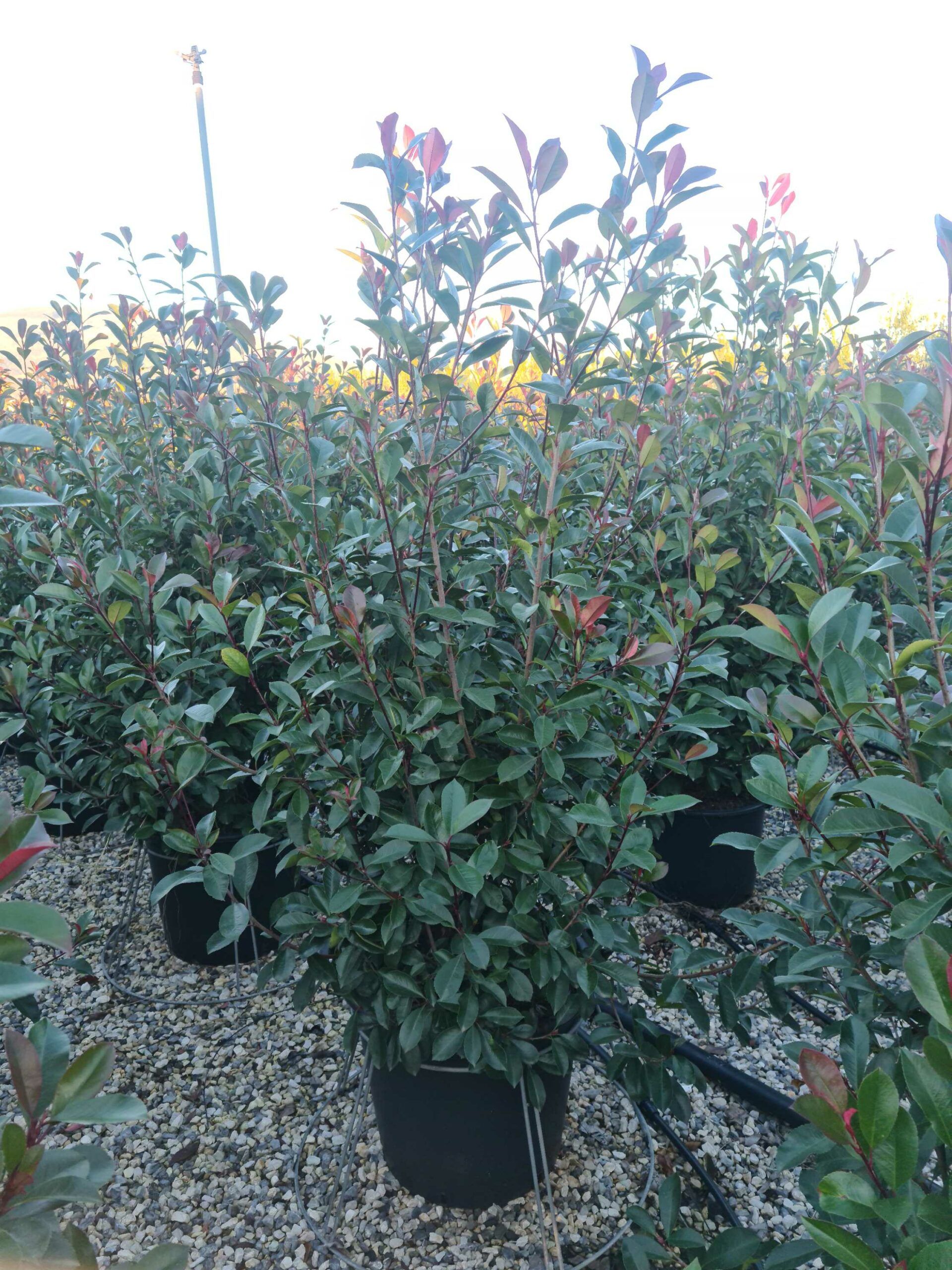 1639667119 1 scaled fb7c2a49