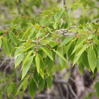 1642765597 scaled fb1aa601