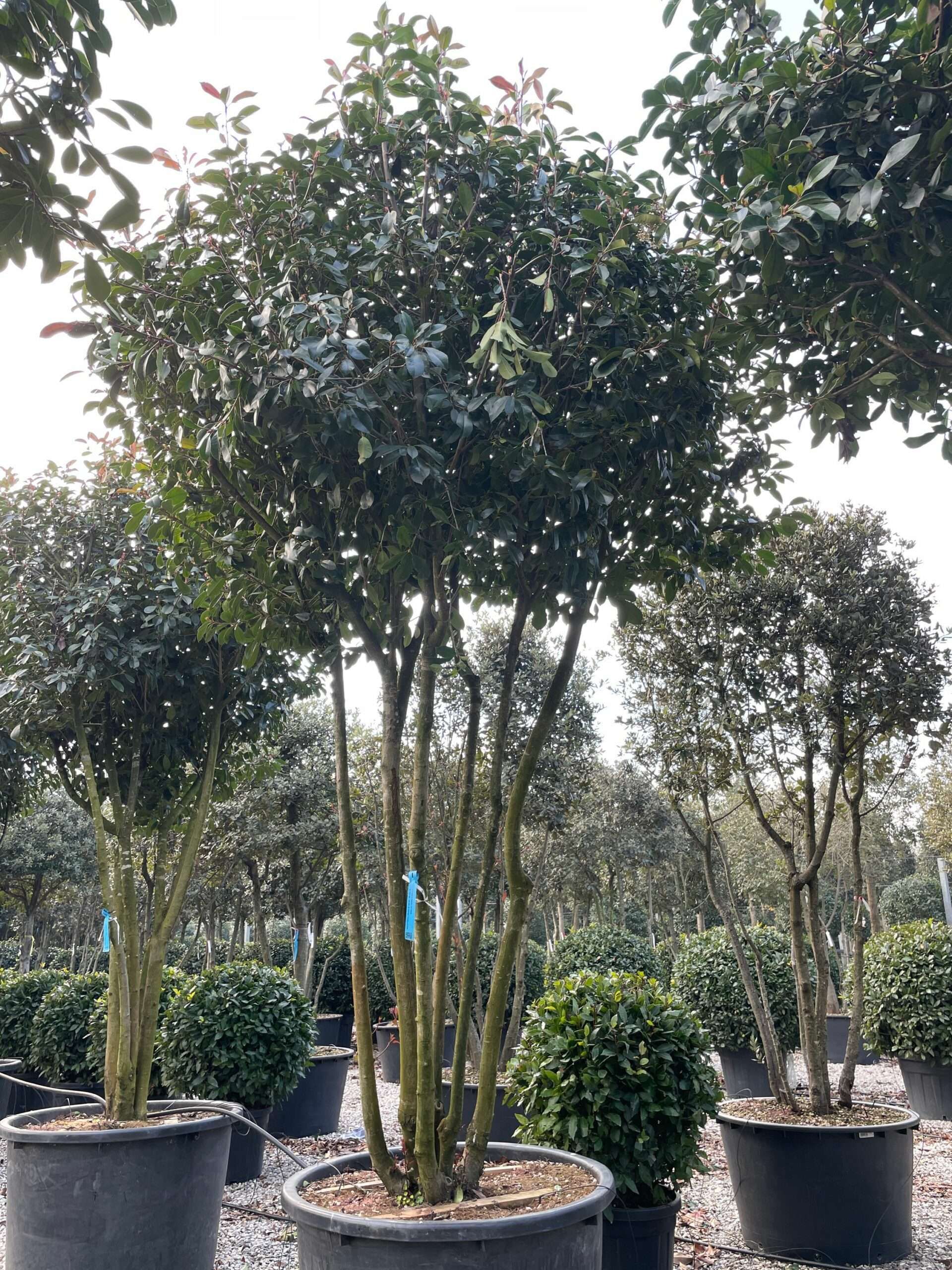 1643198240 scaled fbacbd6e