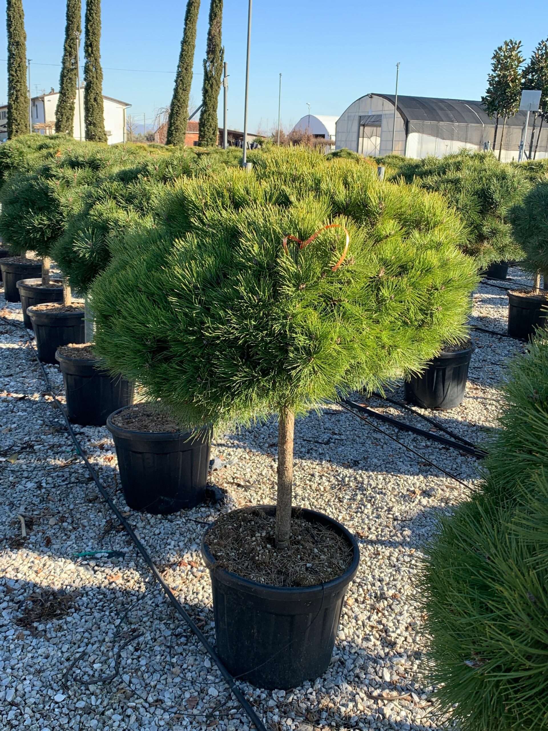 1644329382 scaled fbcf411b