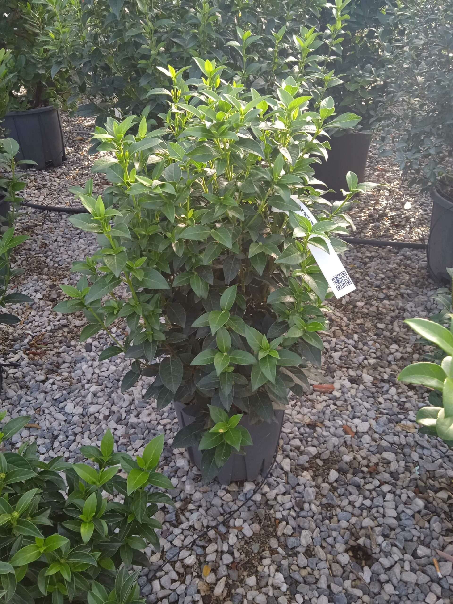 1662446546 scaled fbe0b5cb