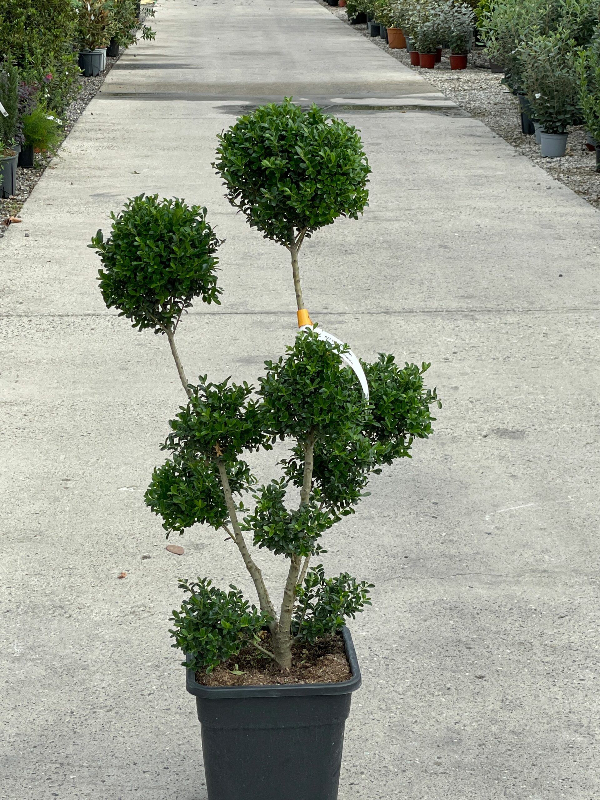 1664092570 scaled fb46b026