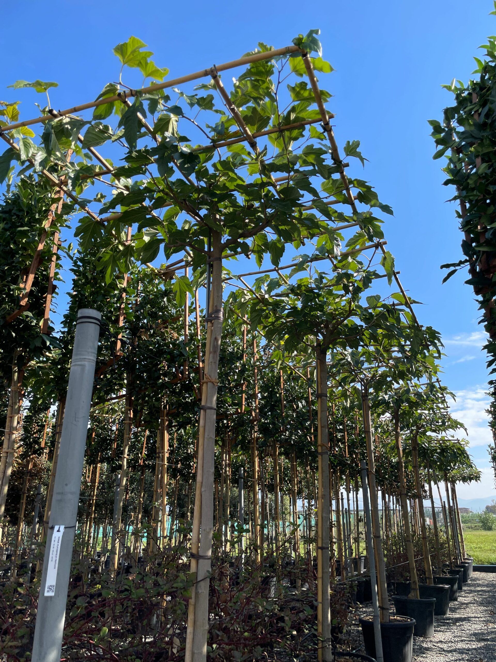 1665306529 scaled fb5e0e1f