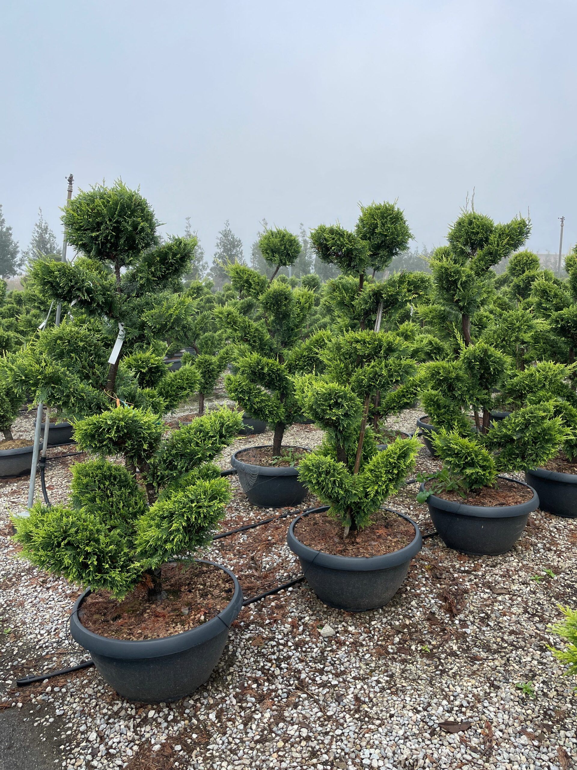 1669197824 scaled fb61fed0