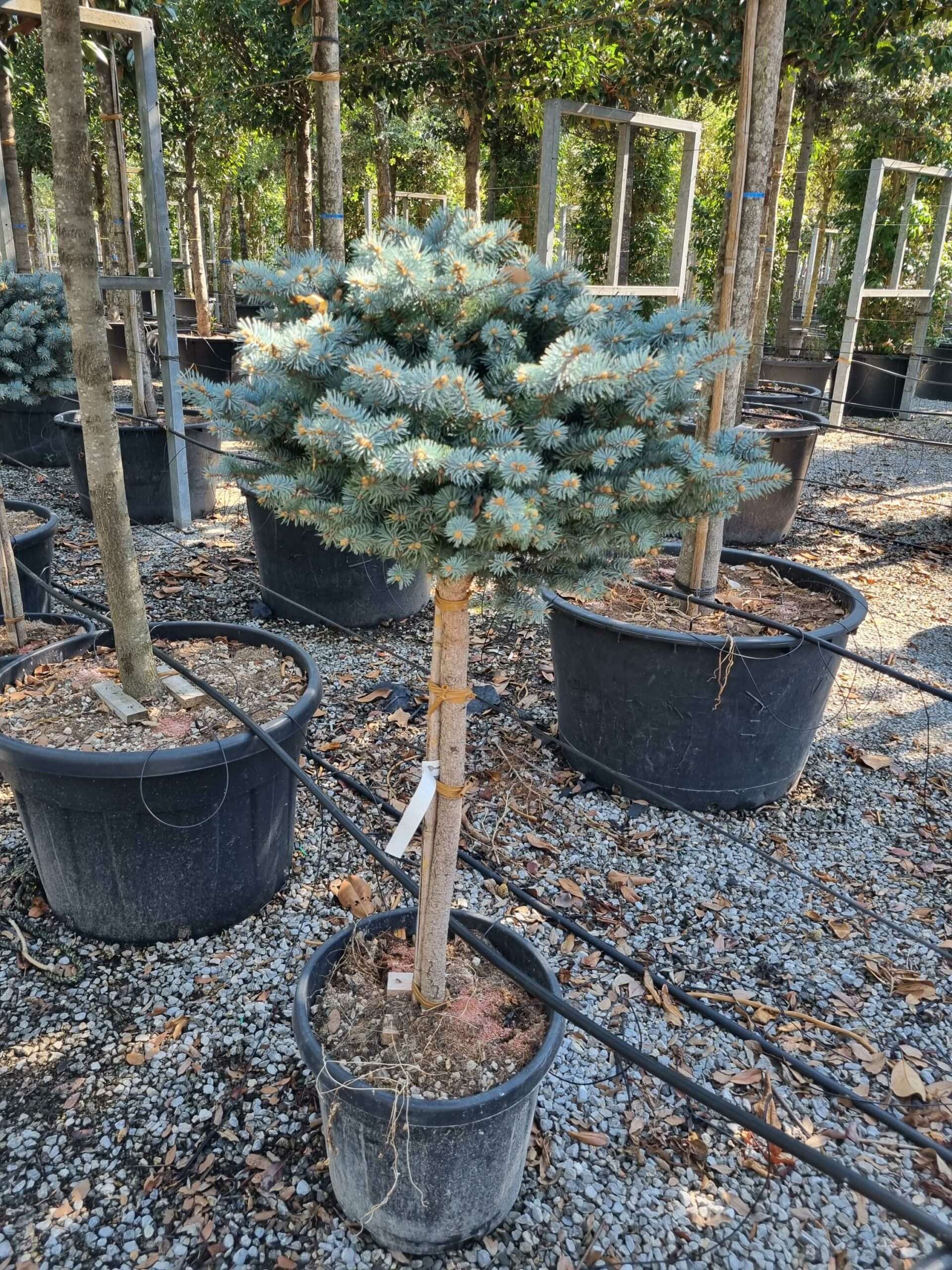 1692605885 scaled fbaa1d65