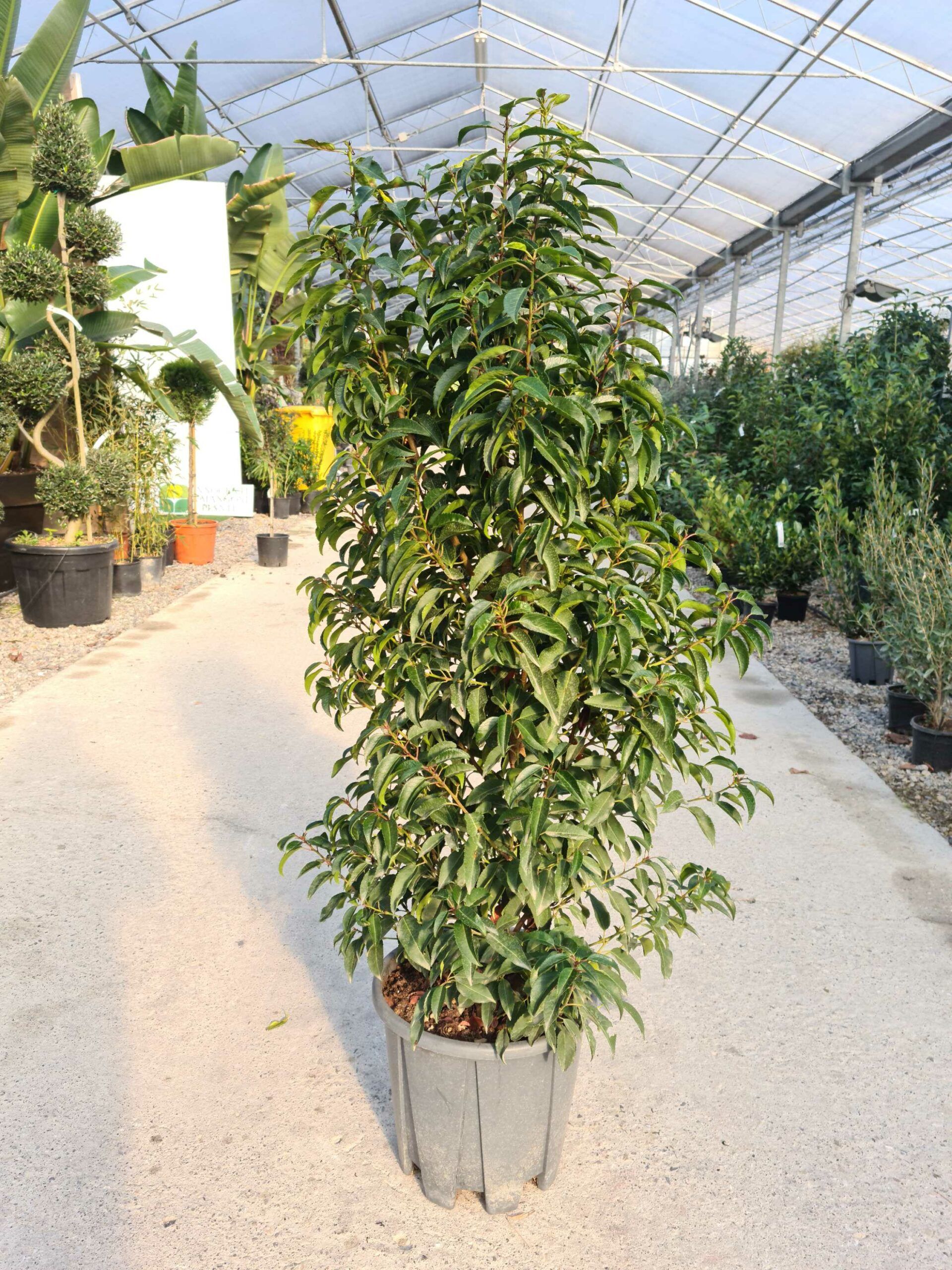 1639476918 scaled fcb661e6