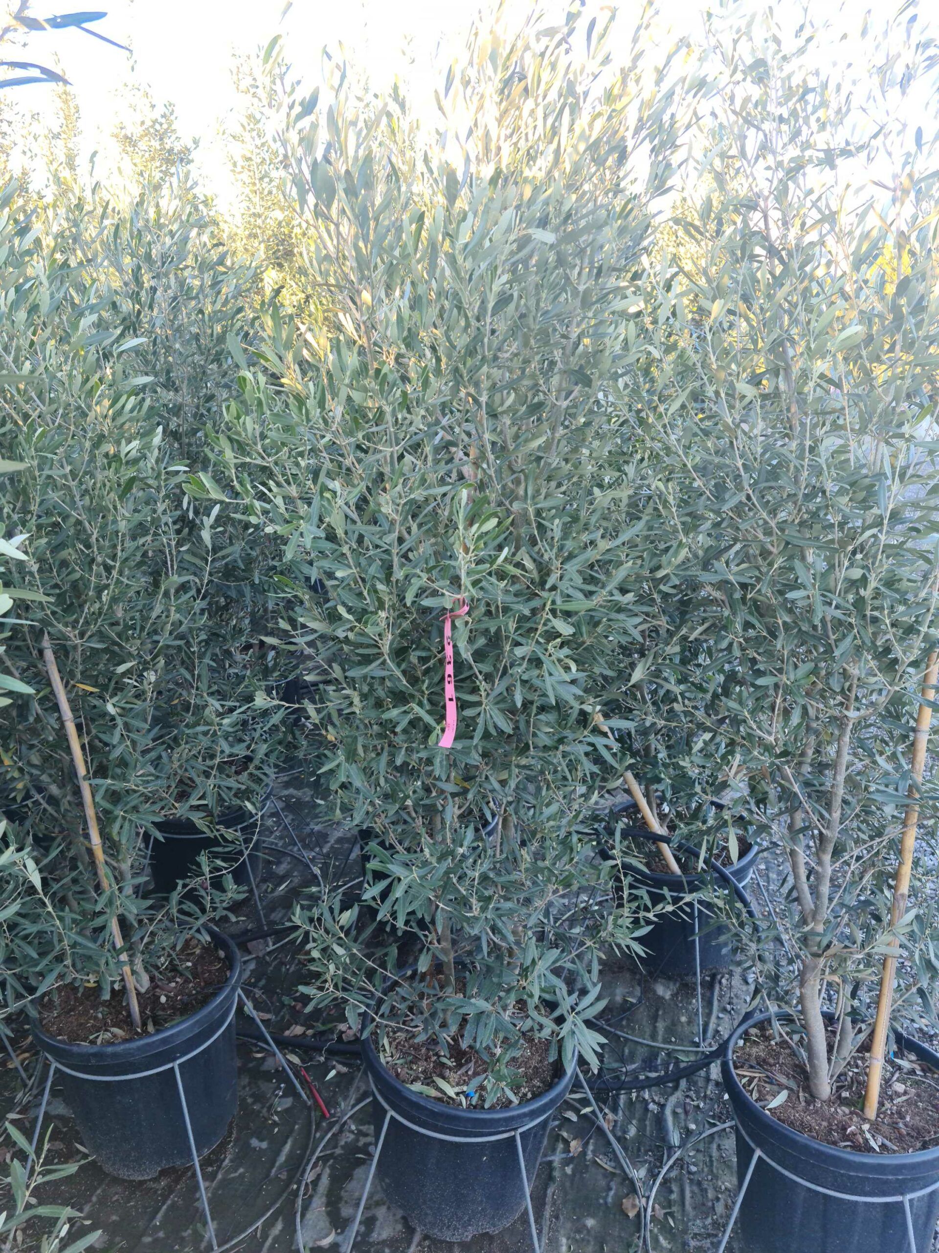 1639666107 scaled fc502297