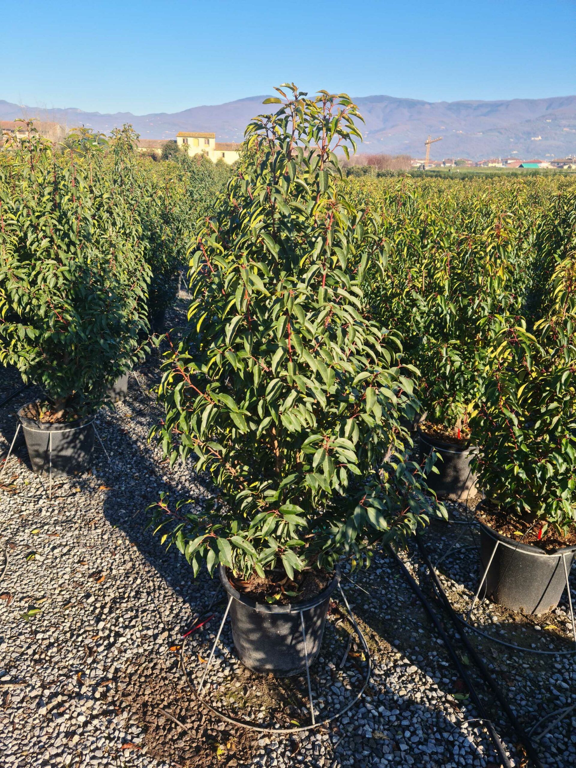 1639818058 scaled fc17b7fe