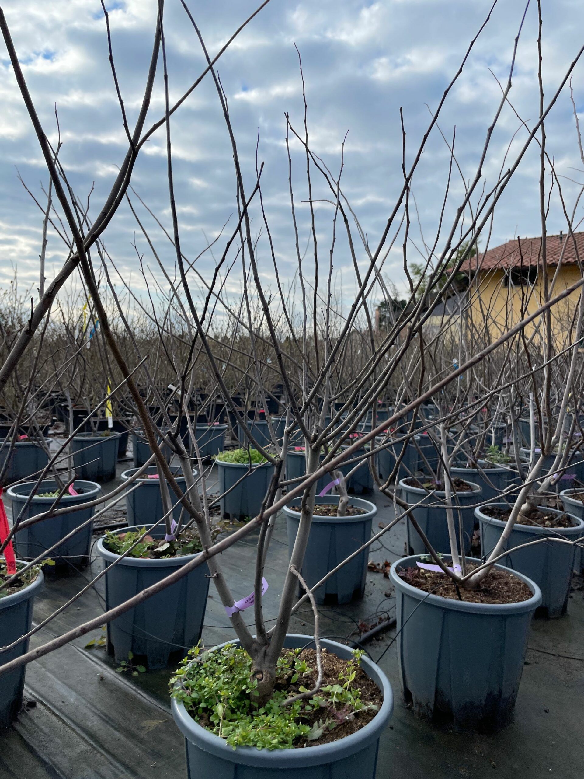 1642679571 scaled fc1d27fd