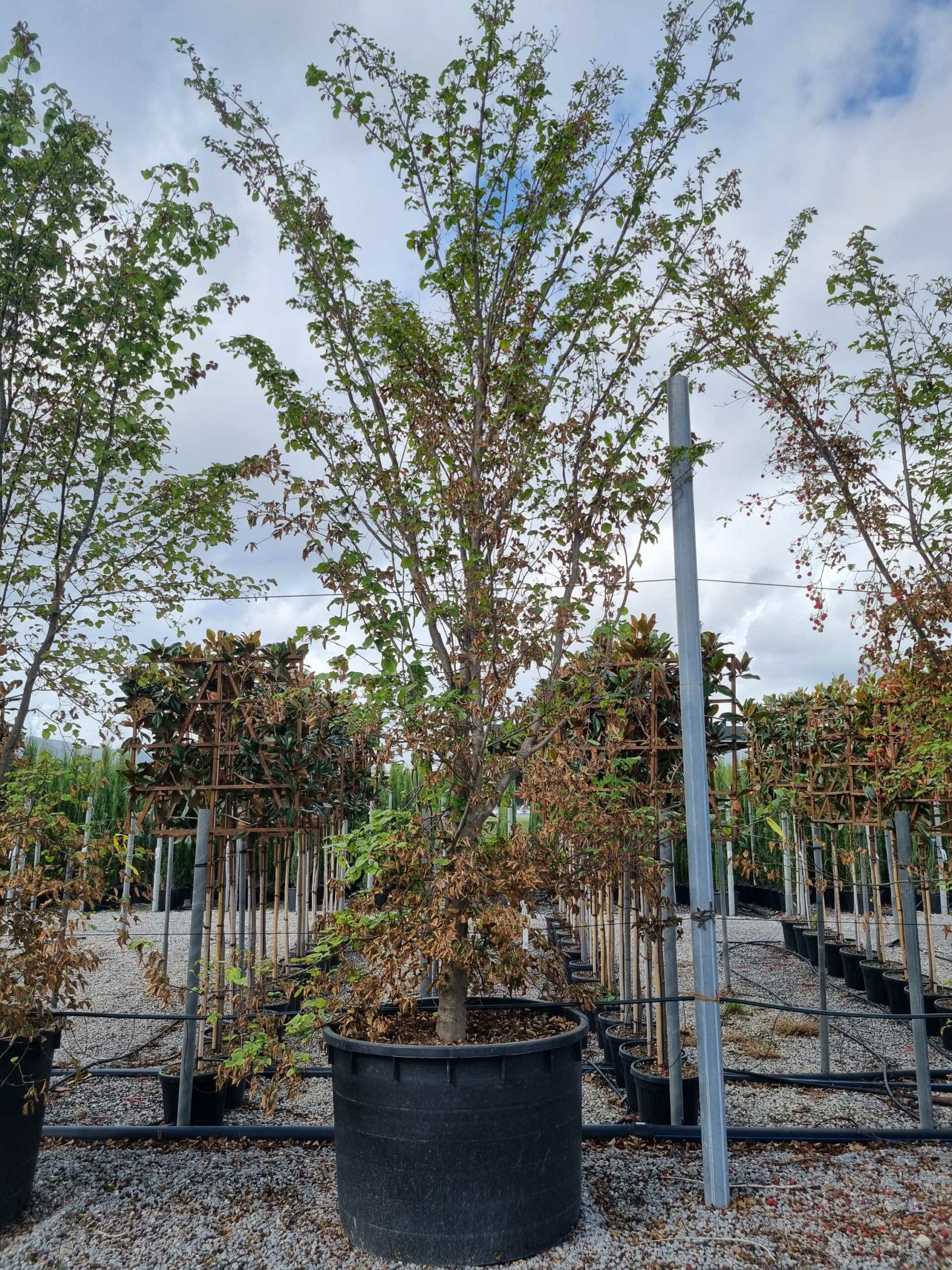 1664442217 scaled fc070a4e