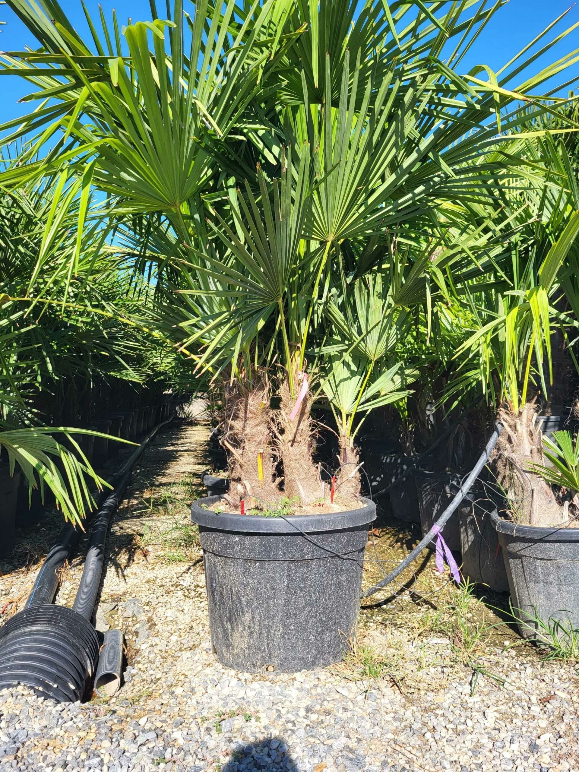 1691480812 scaled fca8626e