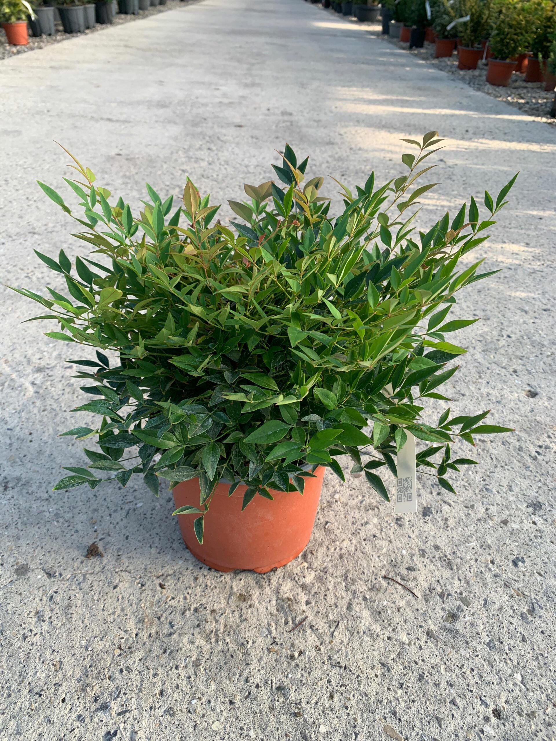 1632811688 scaled fd9d6663