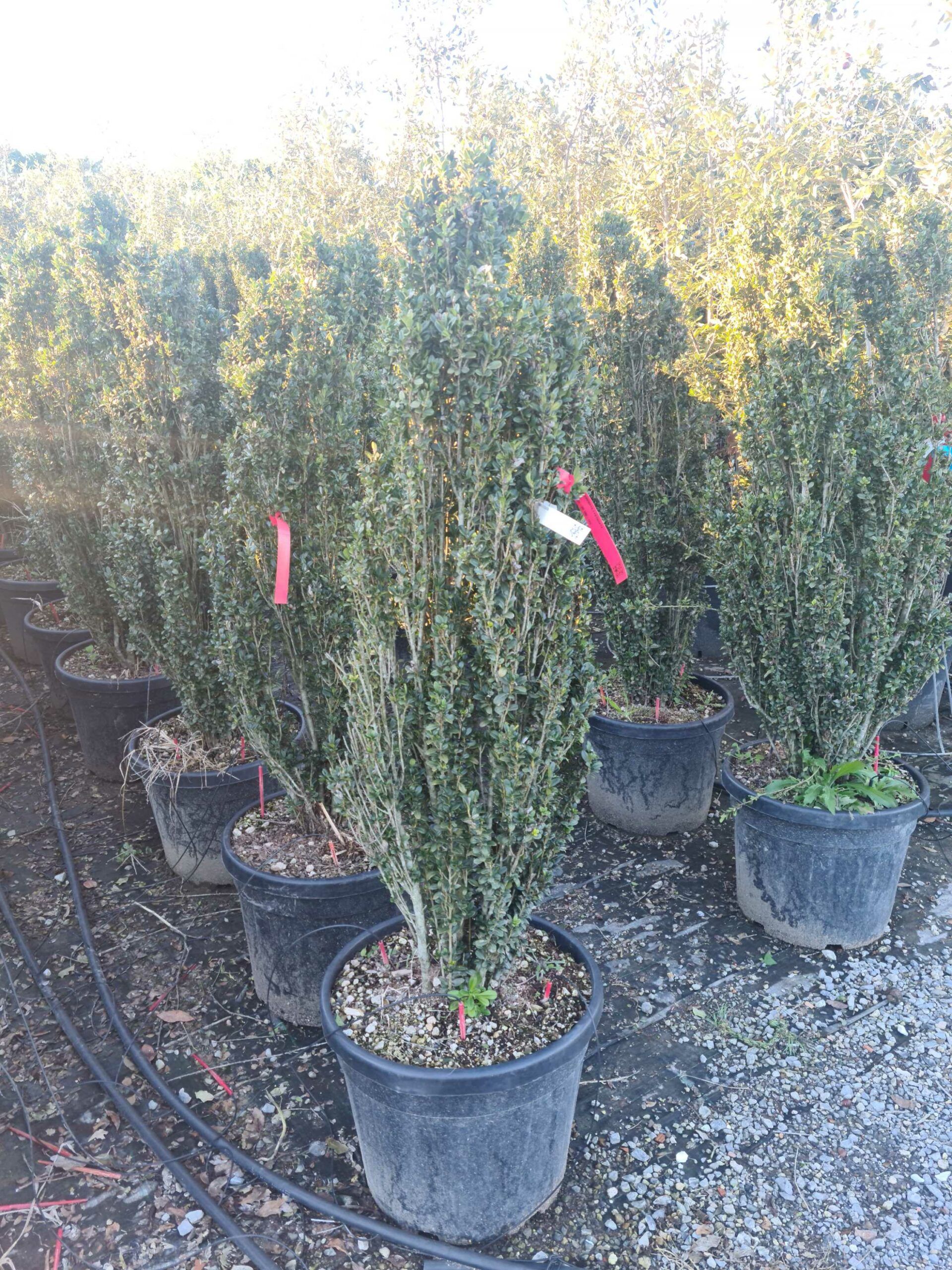 1639665680 scaled fd7d2933