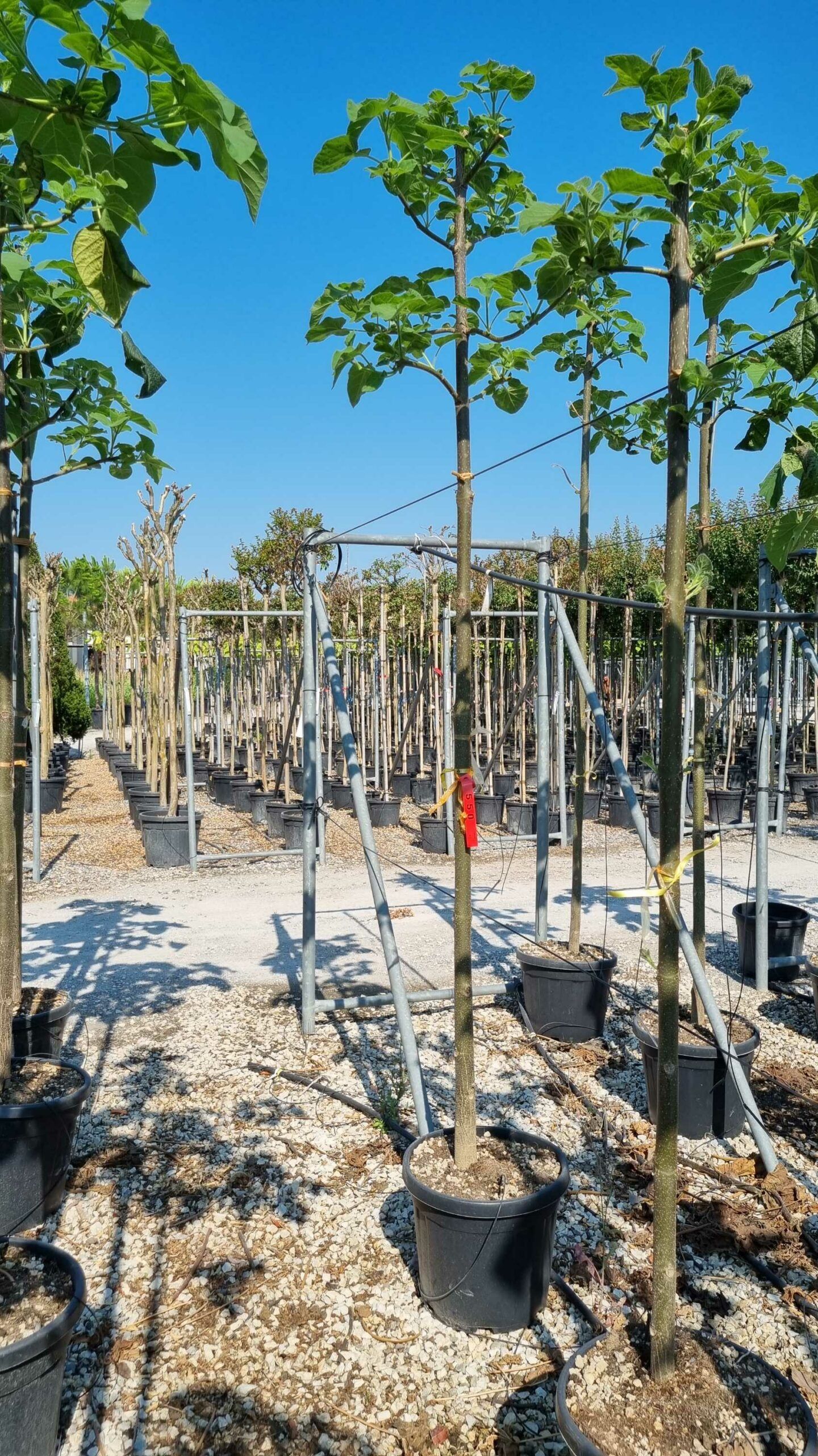 1658130385 scaled fd25a91d