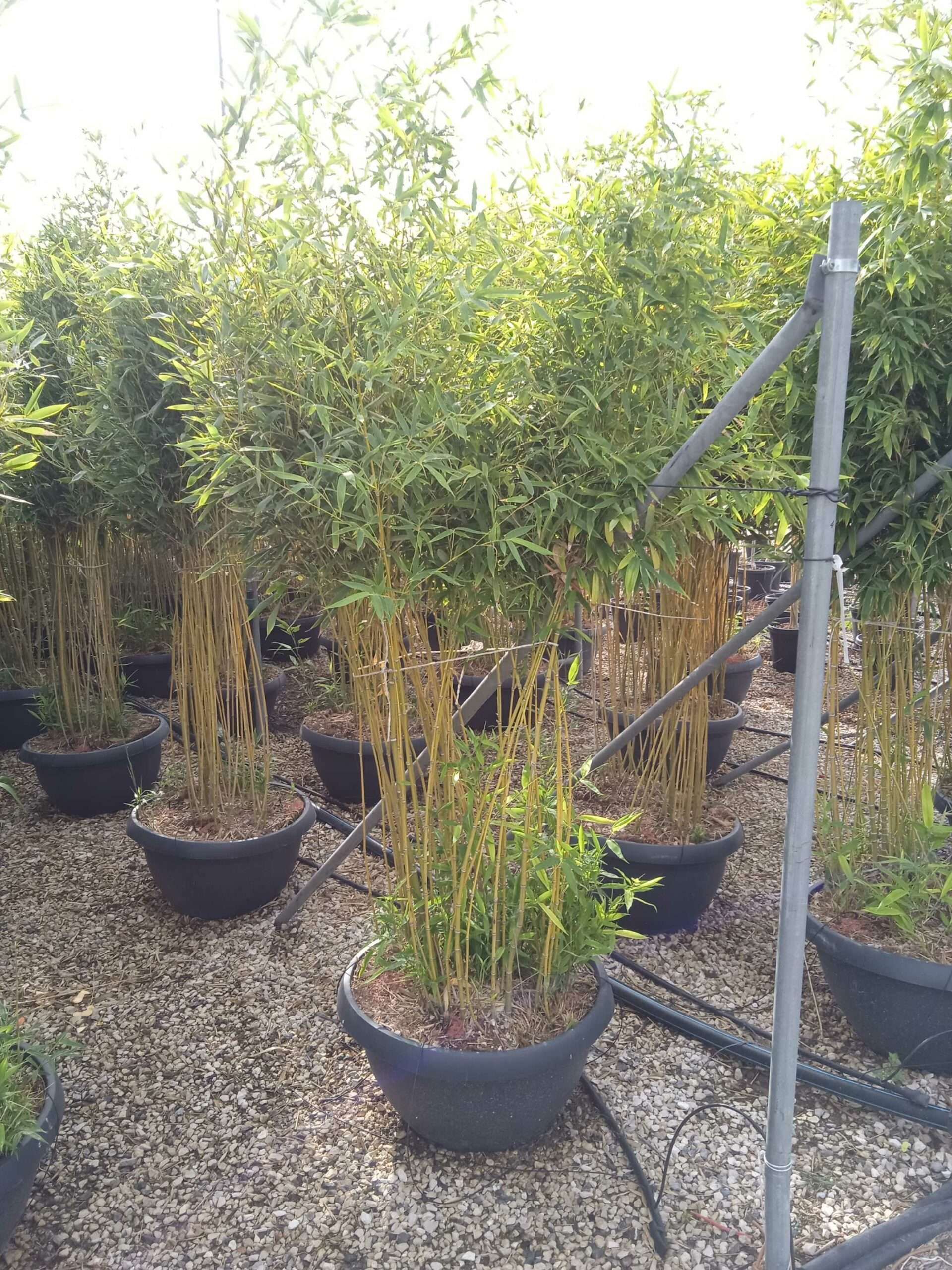 1662018196 scaled fddda0a5