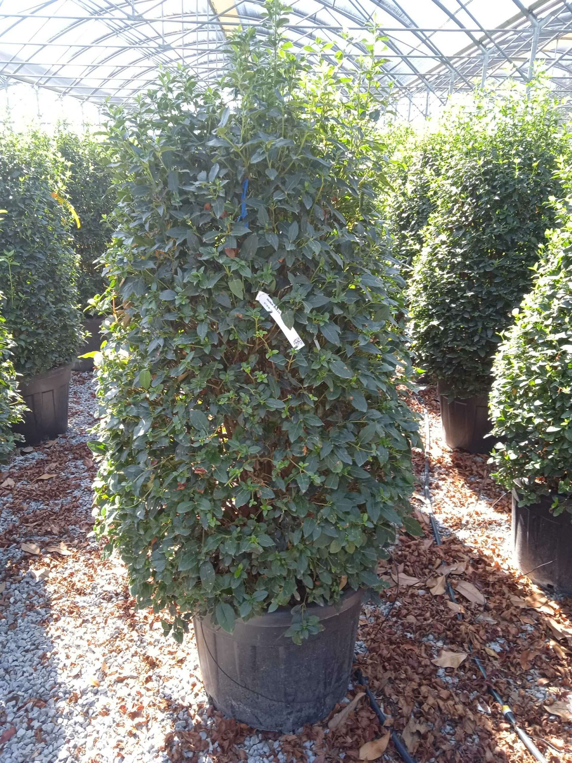 1662545239 scaled fd9857fe