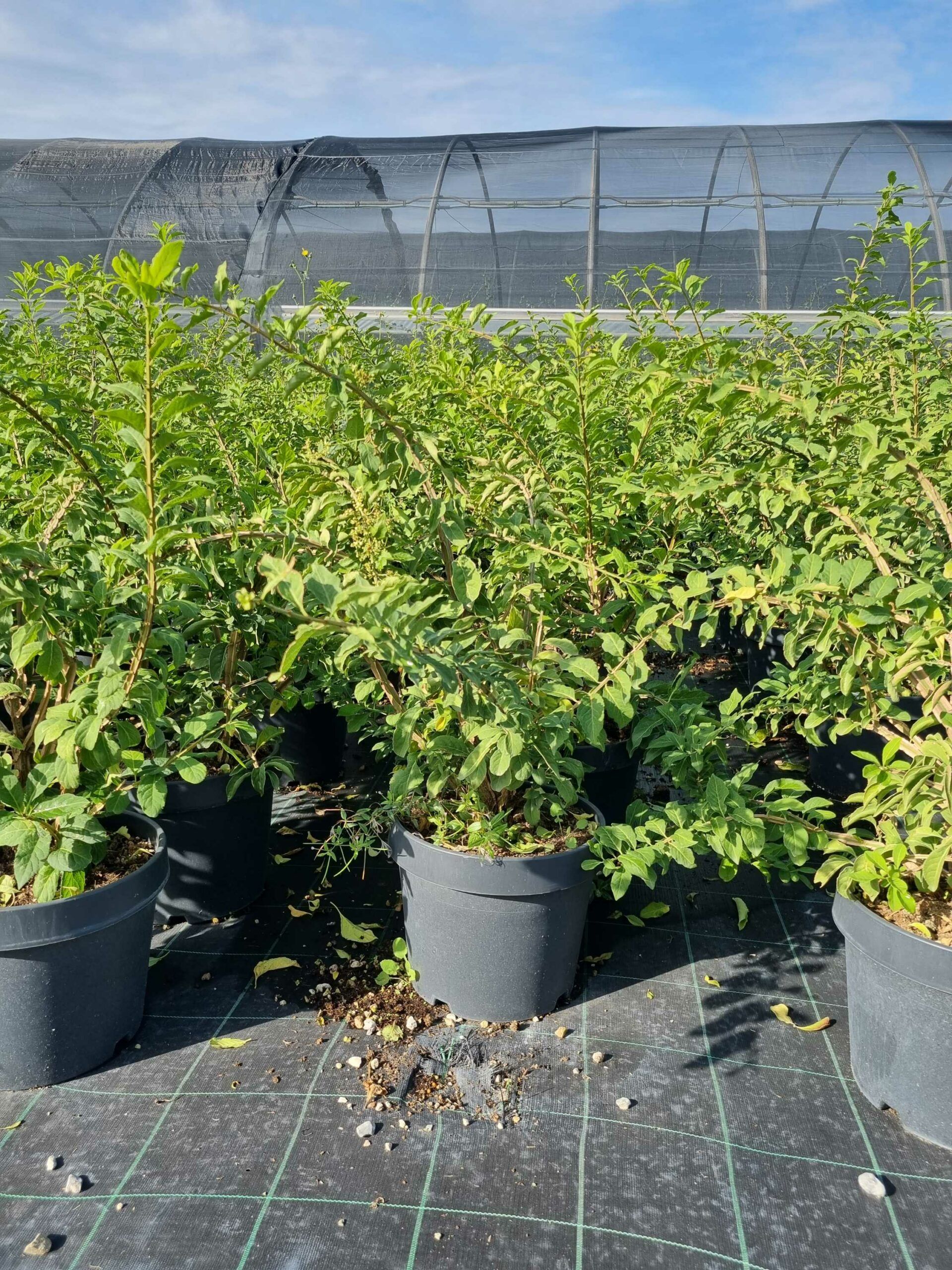 1665392277 scaled fd21e511