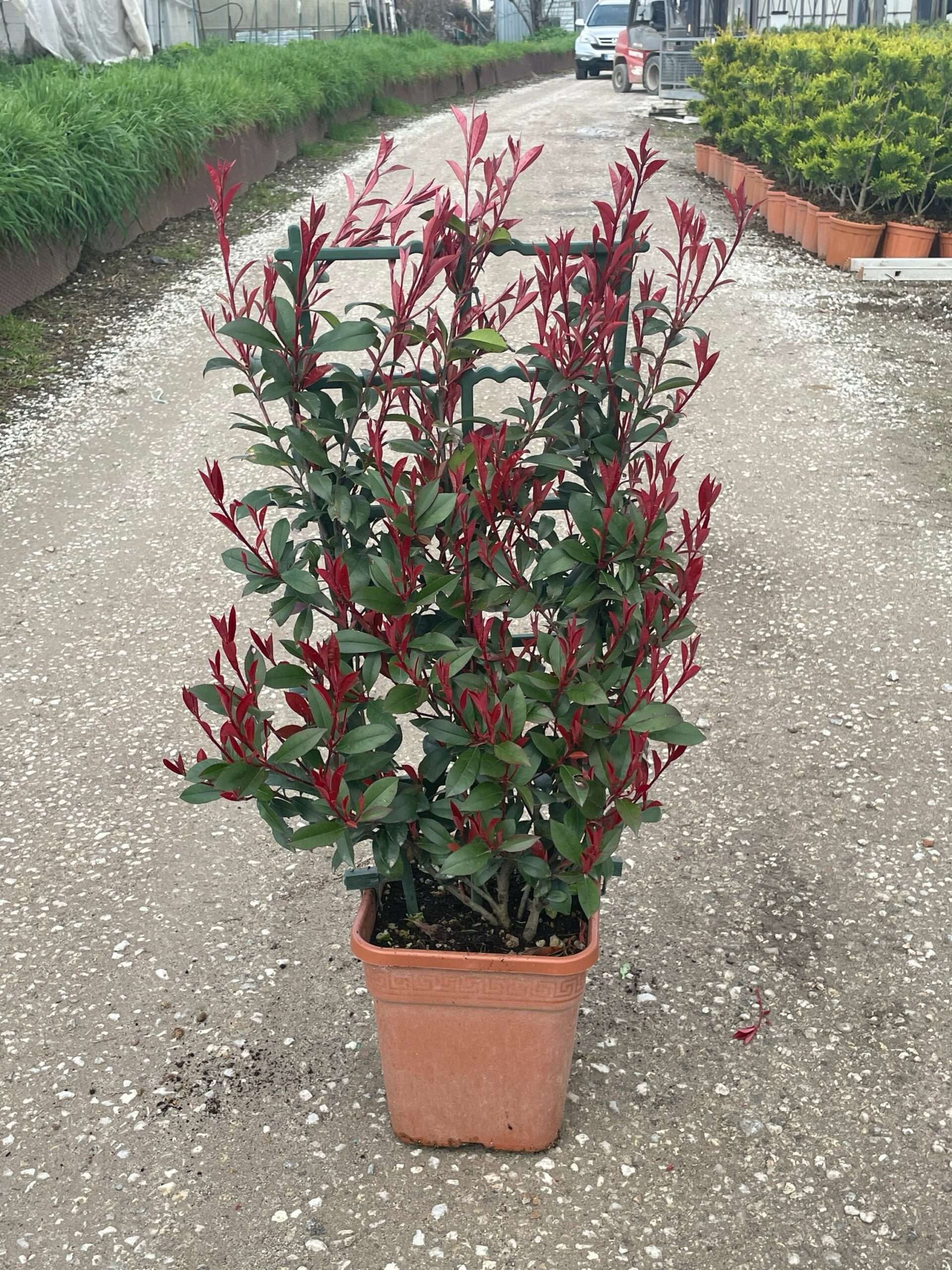 1679313536 scaled fd8a83f9