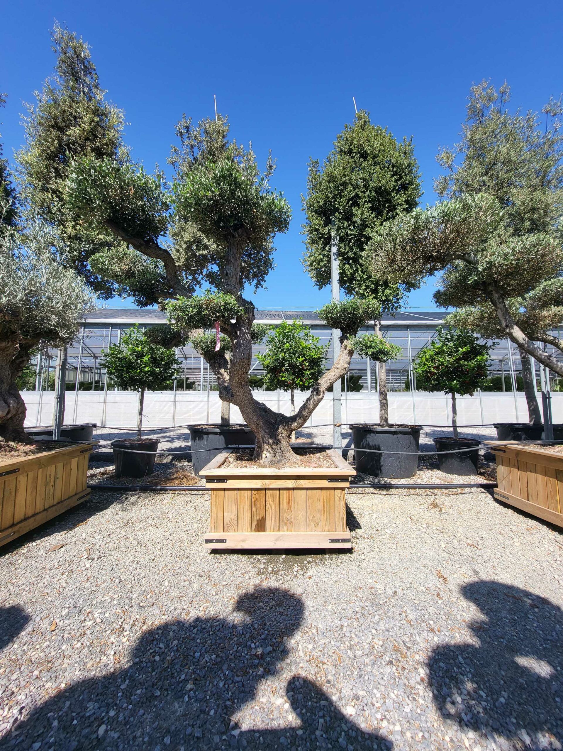 1691657212 scaled fd94a915