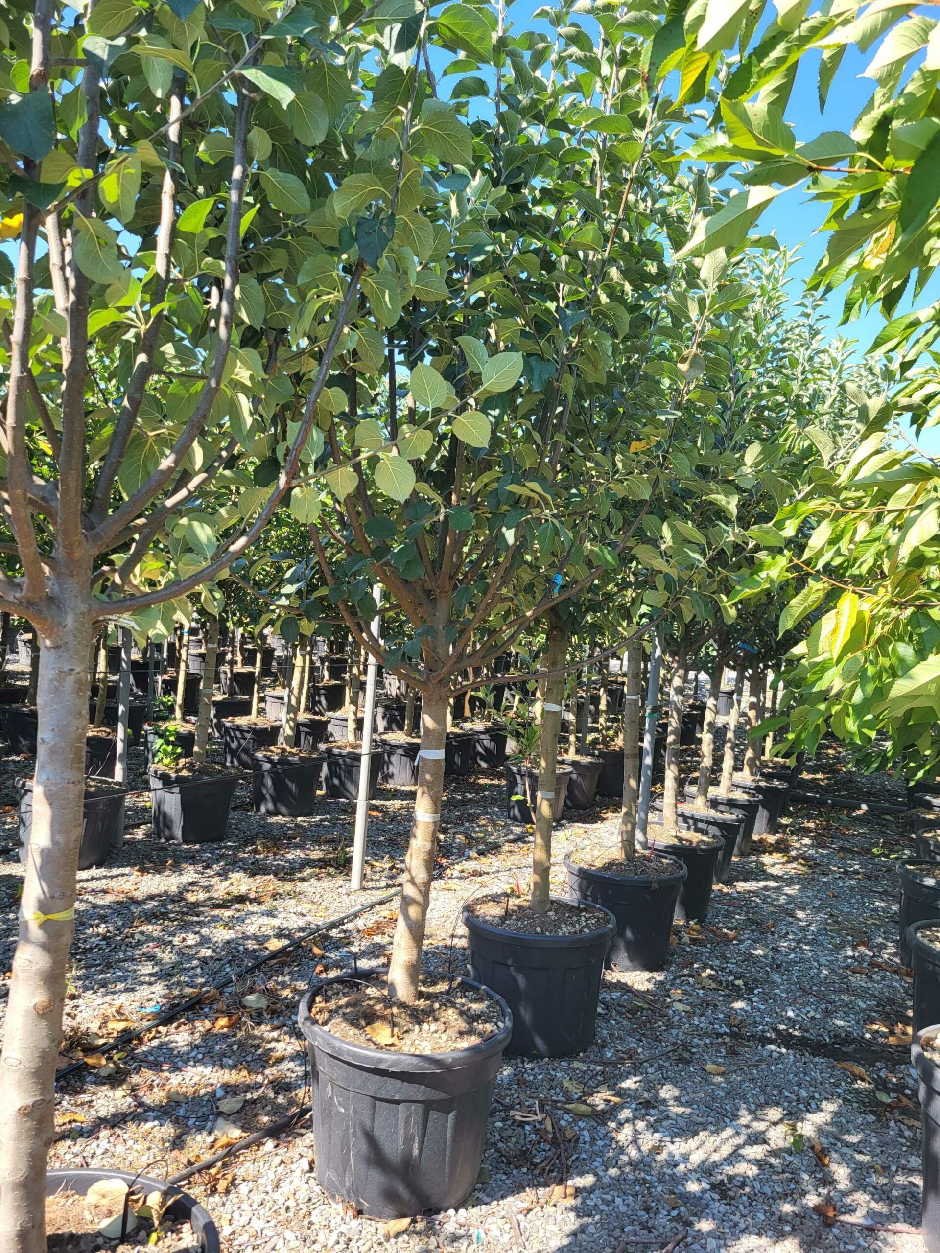 1692694409 scaled fd298ec4