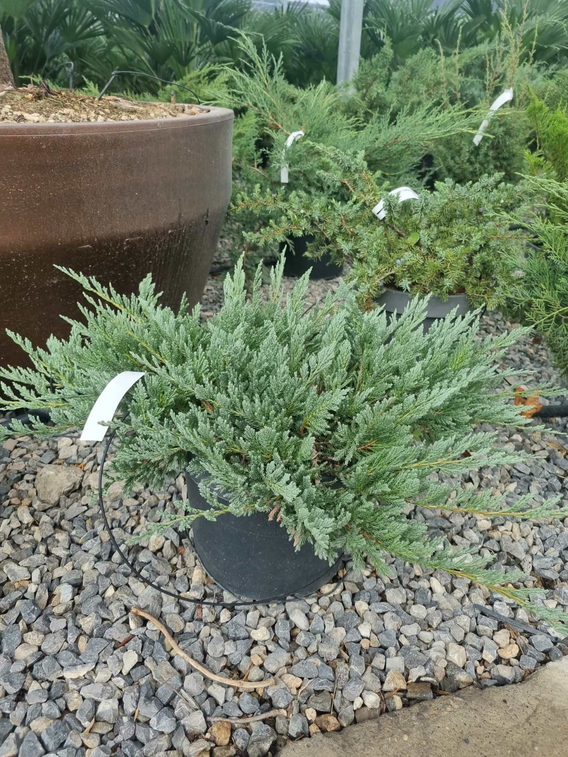 1696409407 scaled fdb6c085