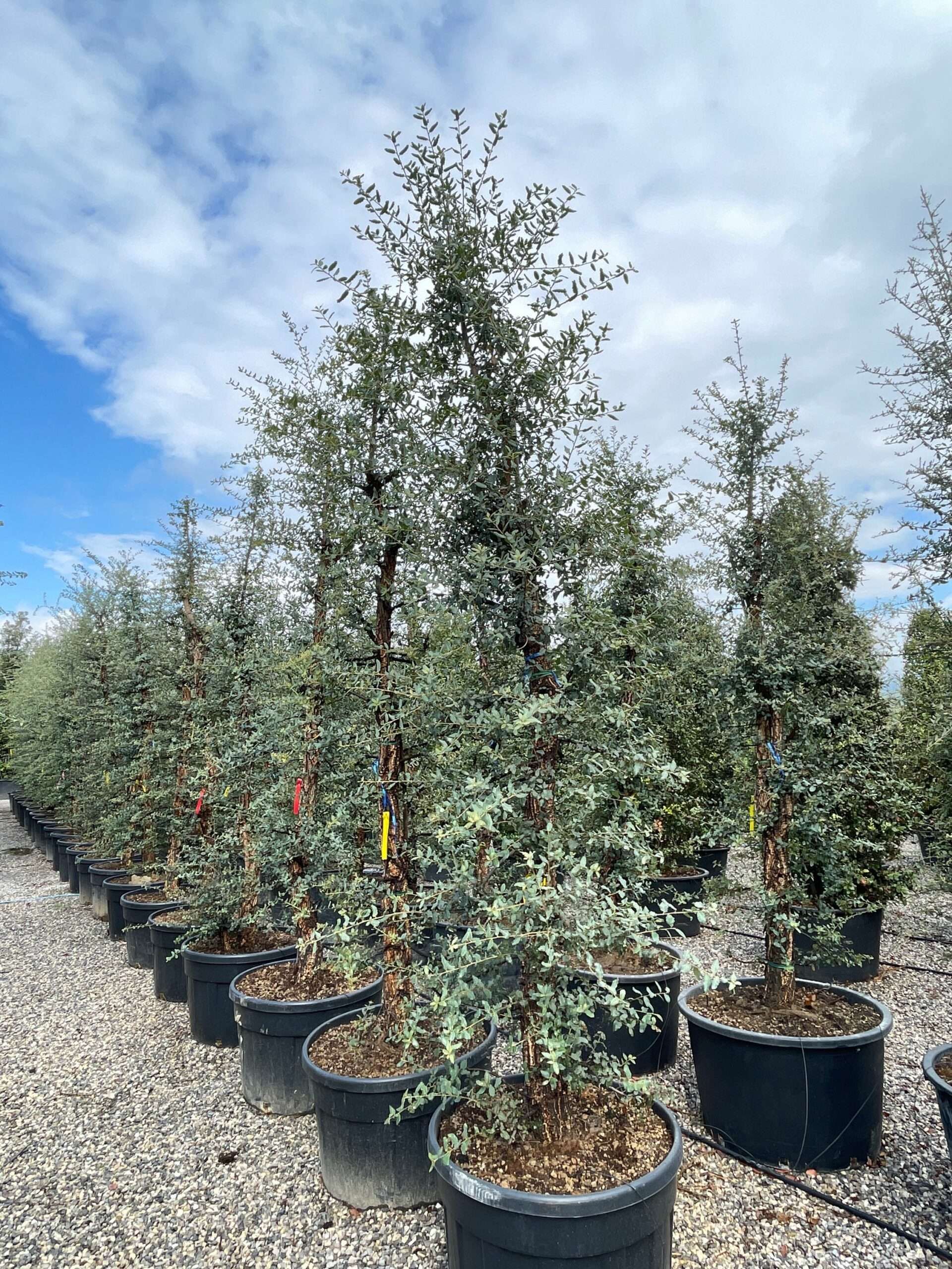 1631955214 scaled feaafea0