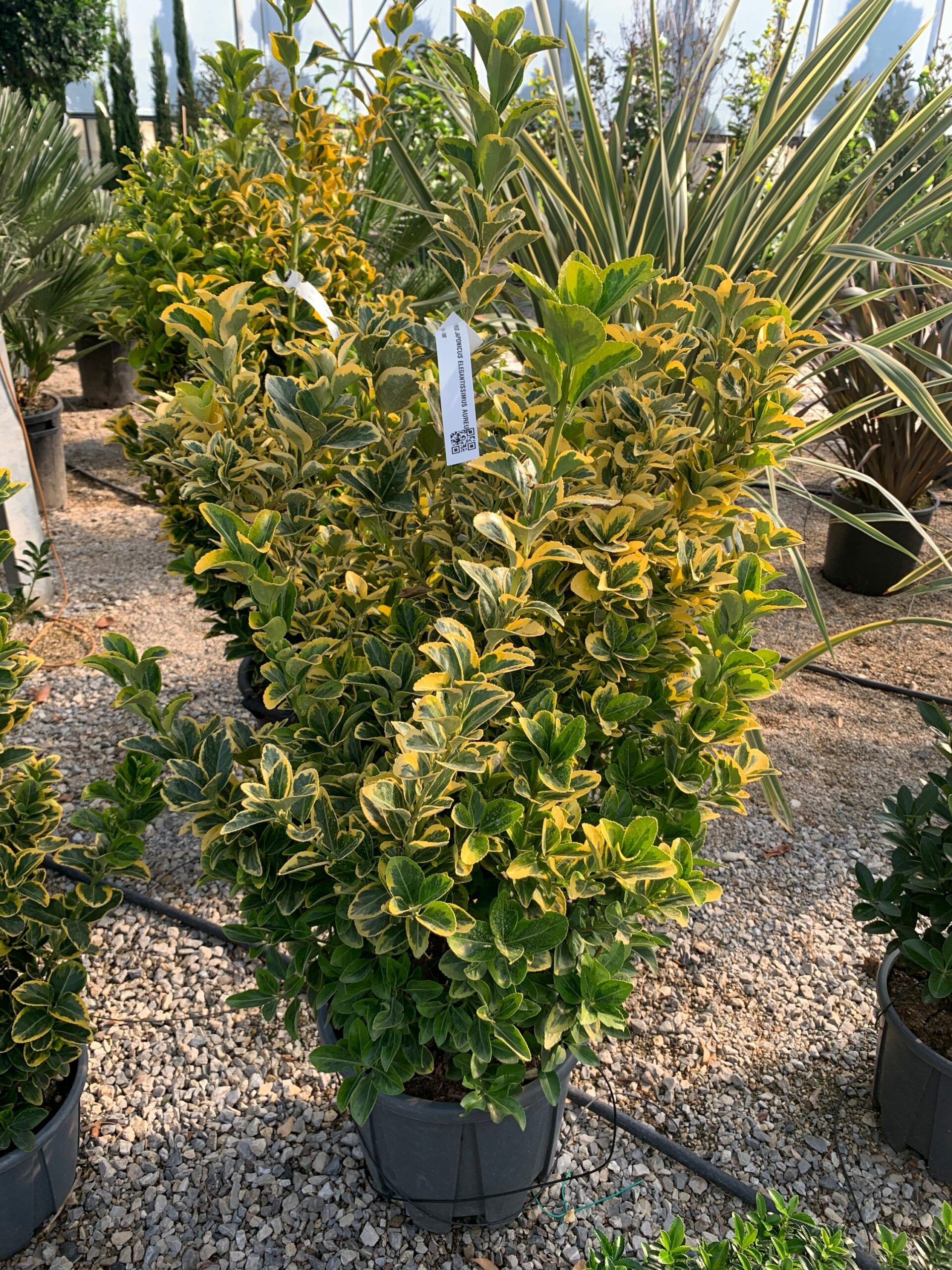 1634633181 scaled fe0acab8