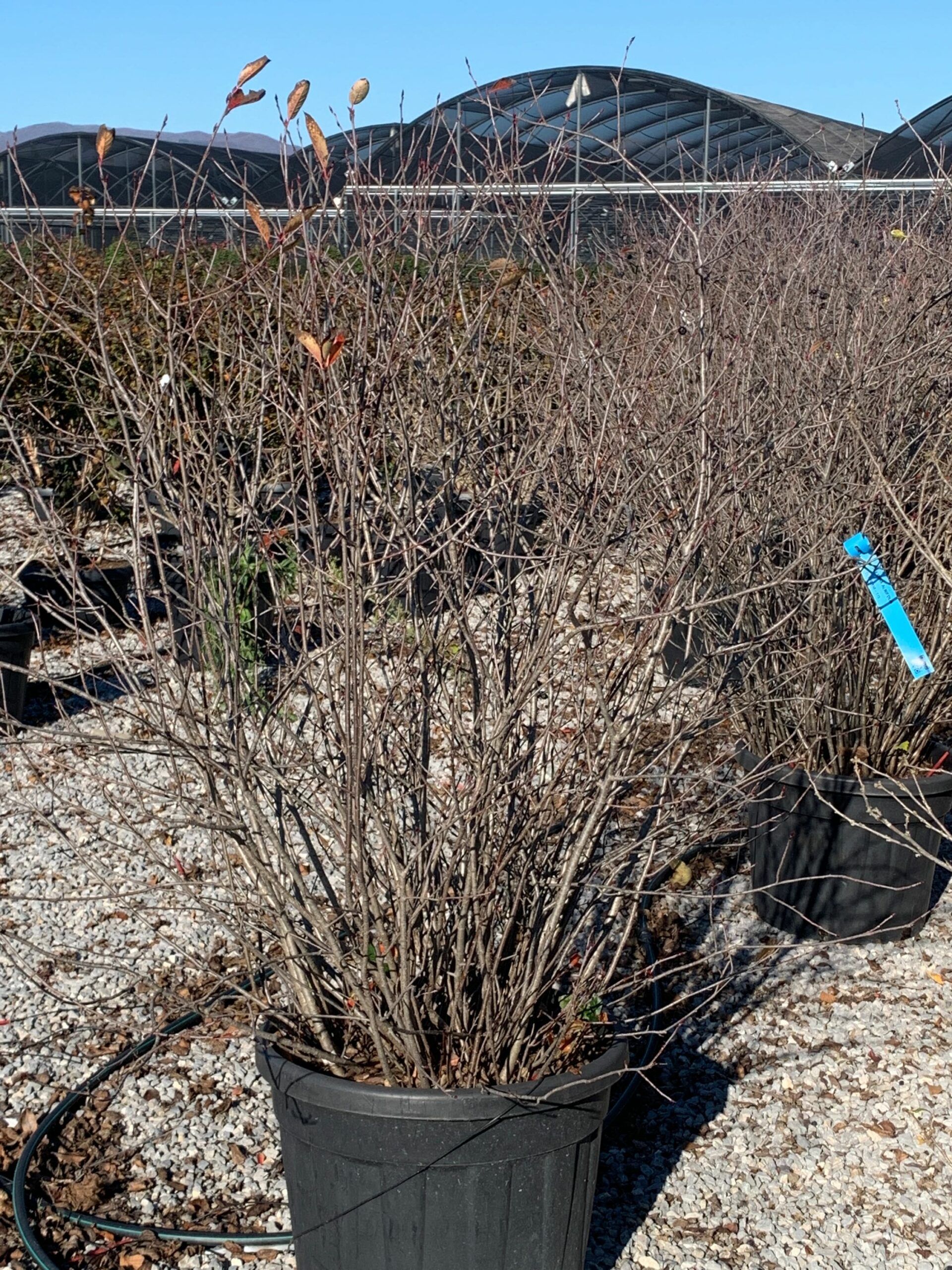 1637749541 scaled fe2786b5