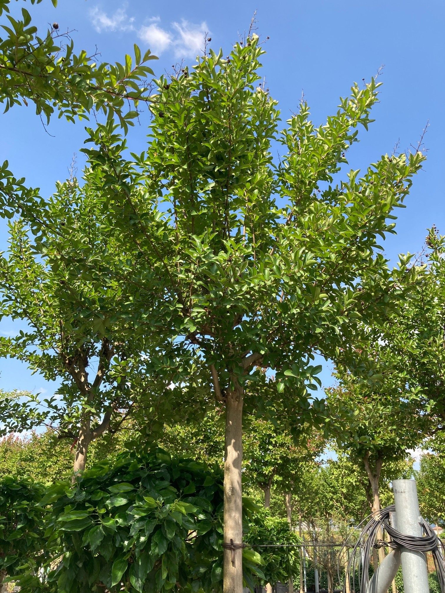 1654598045 sjstghsfg fed5848b