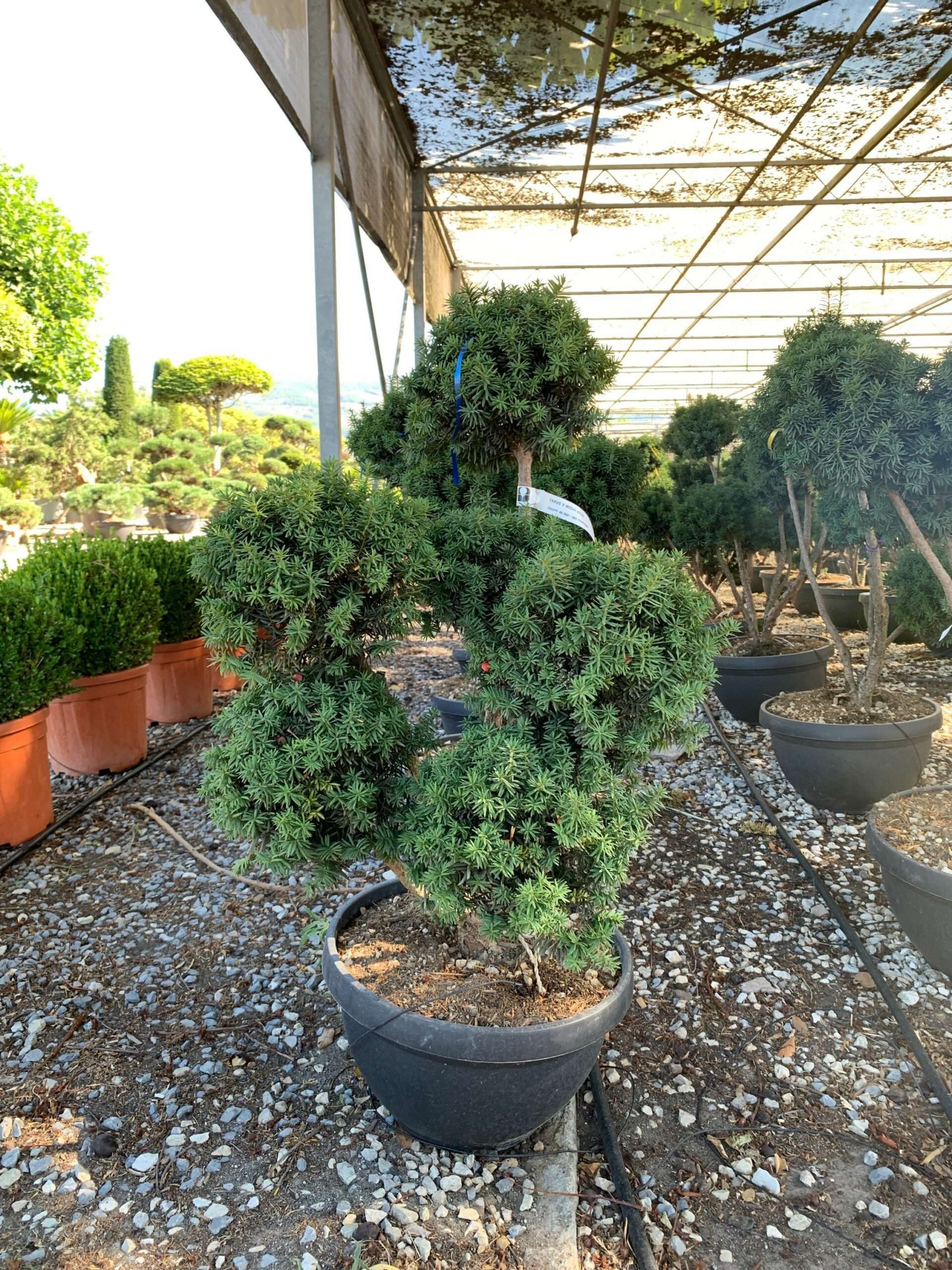 1657524110 scaled fefa6001