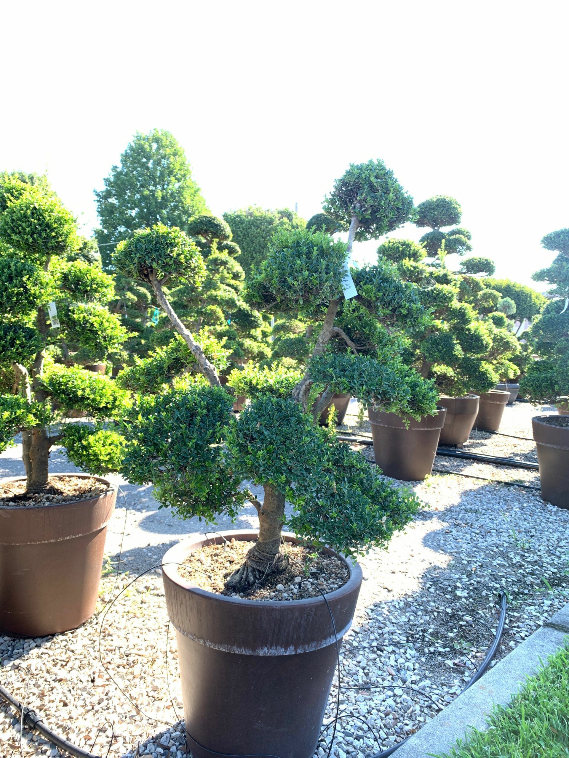 1659598384 scaled fee35f89