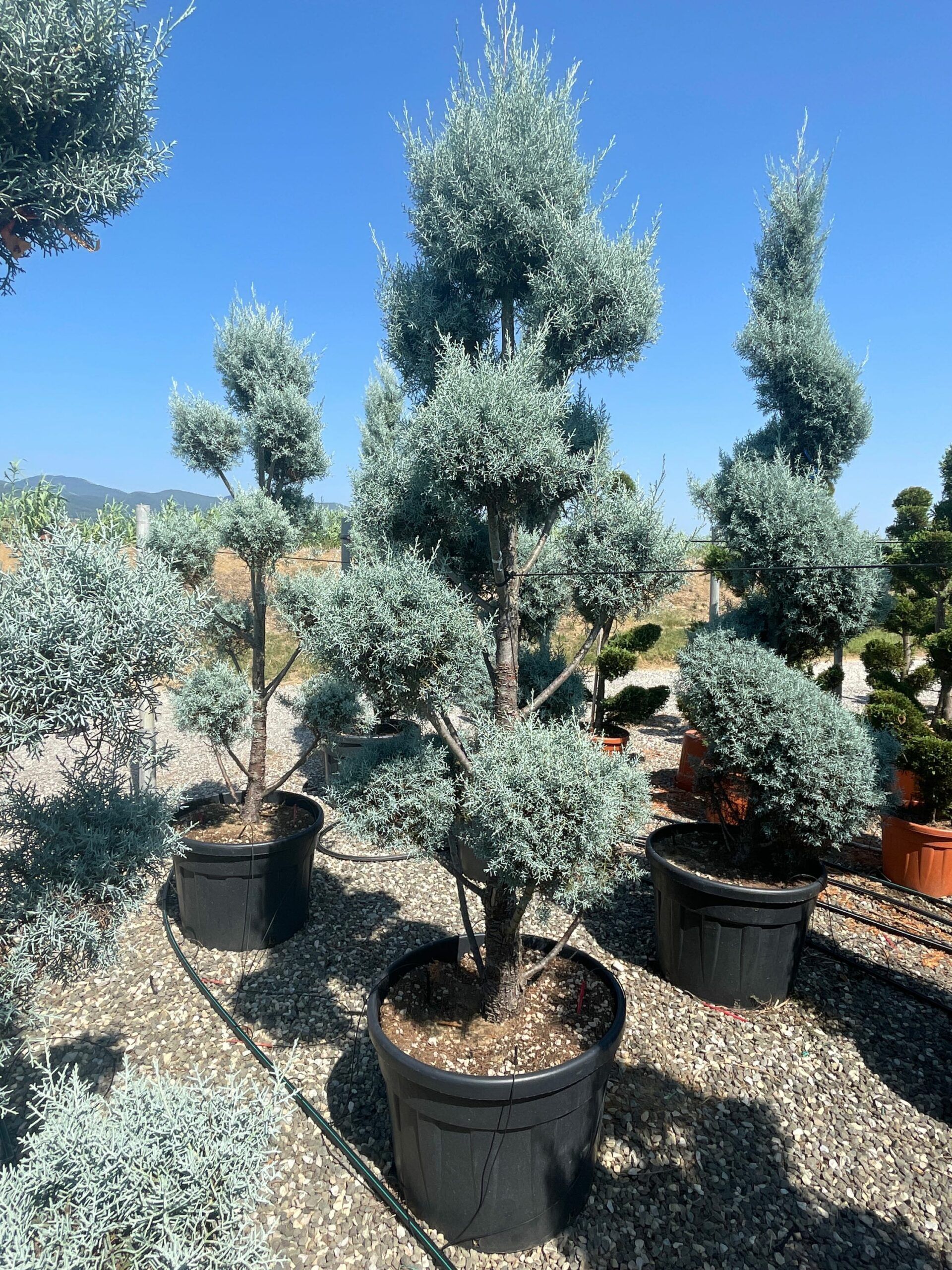 1692967774 scaled fe453d99