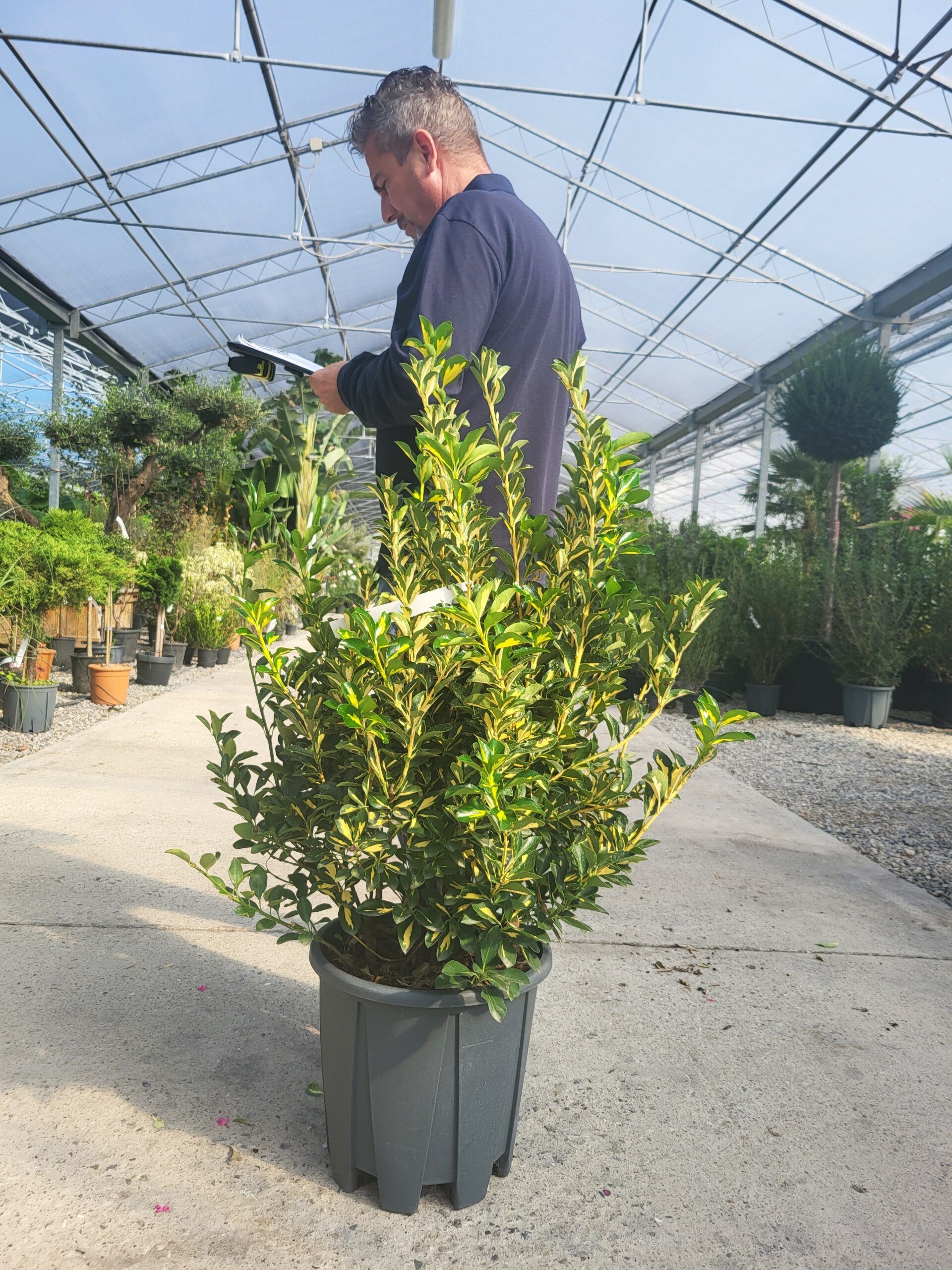 1696397850 scaled feae9e25