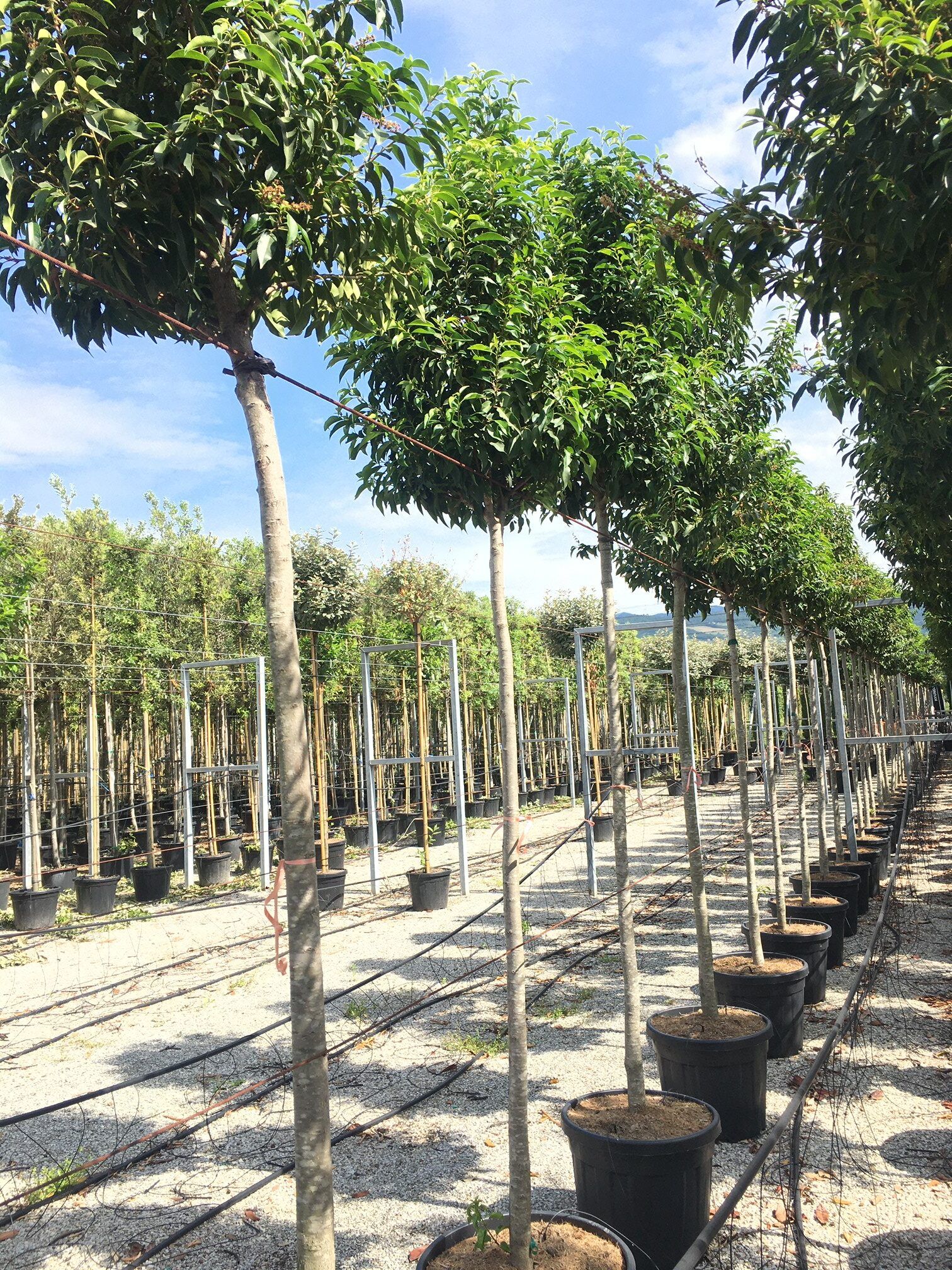 1608654602 rotated ffbb8f13