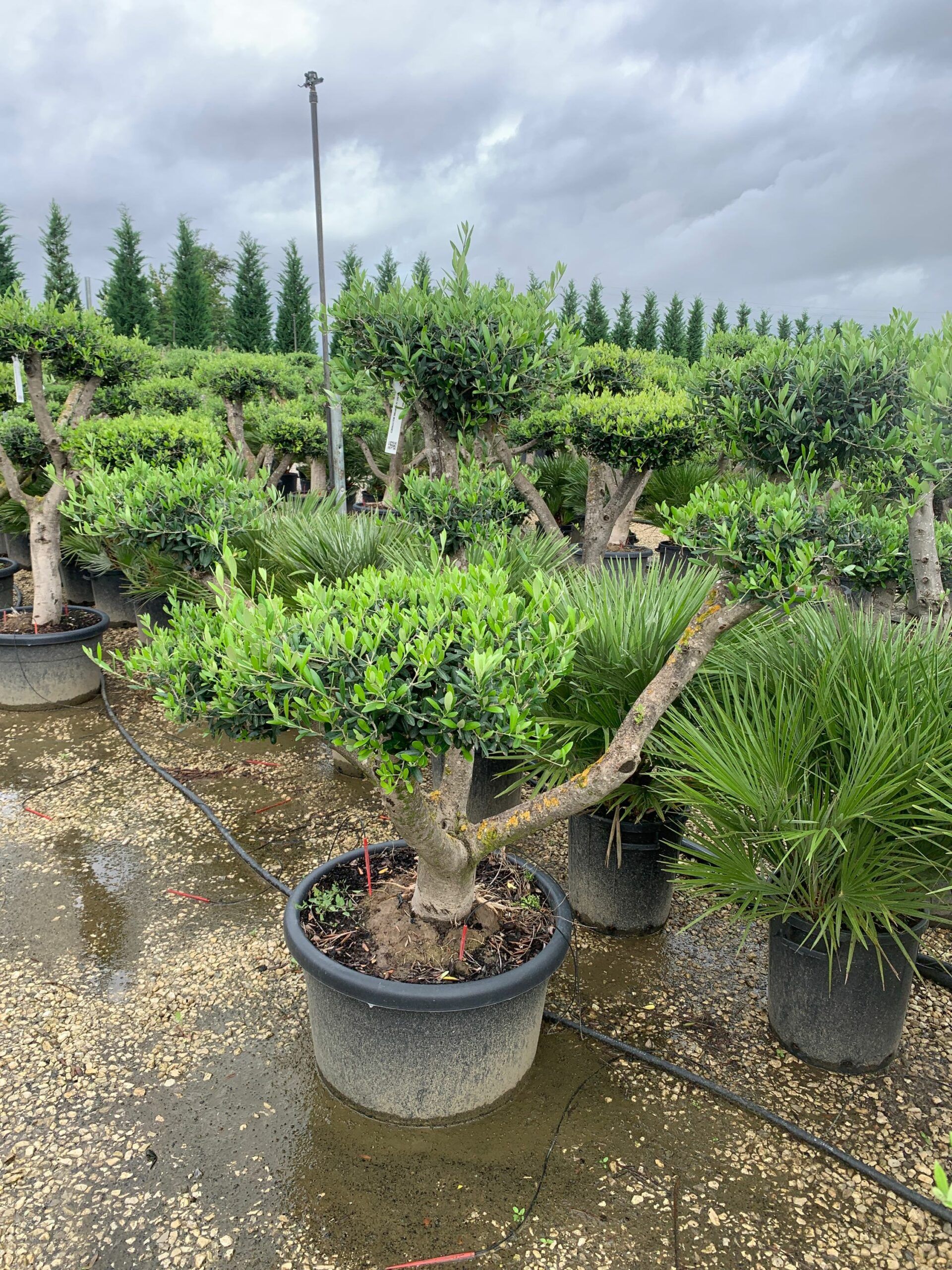 1633424236 scaled ffef7b7c