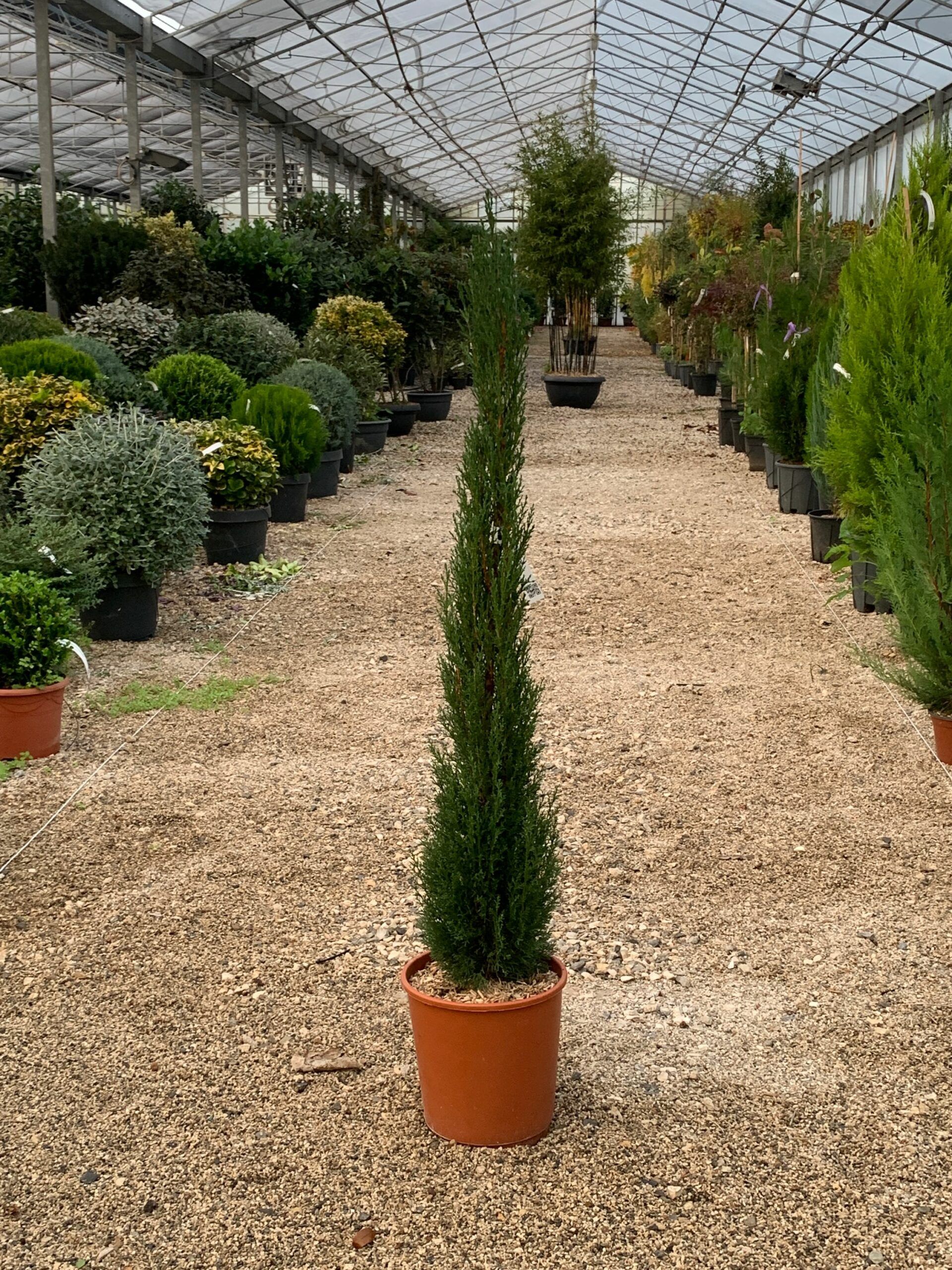 1636644554 scaled ff24ac0d