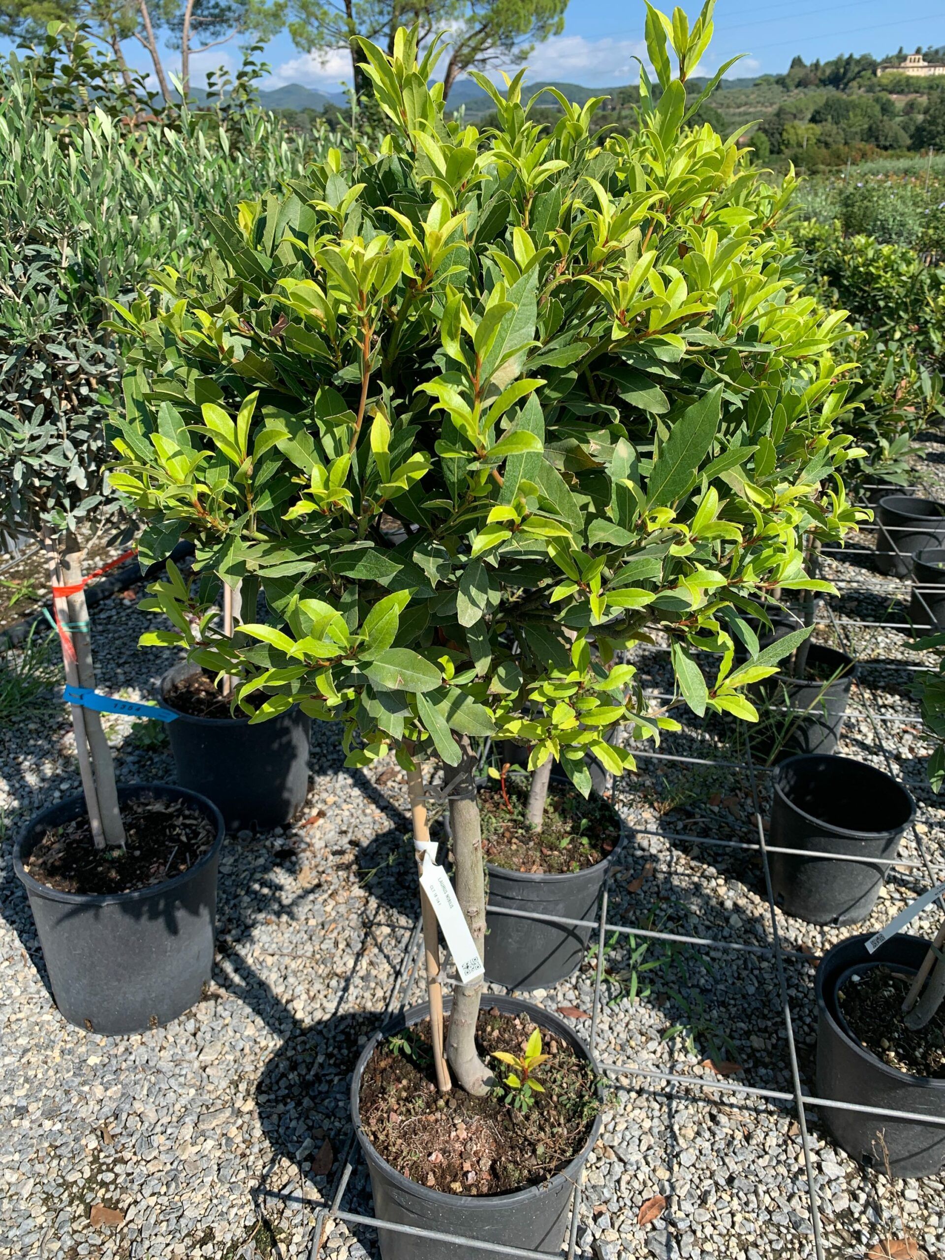 1662108467 scaled ff81b6f9