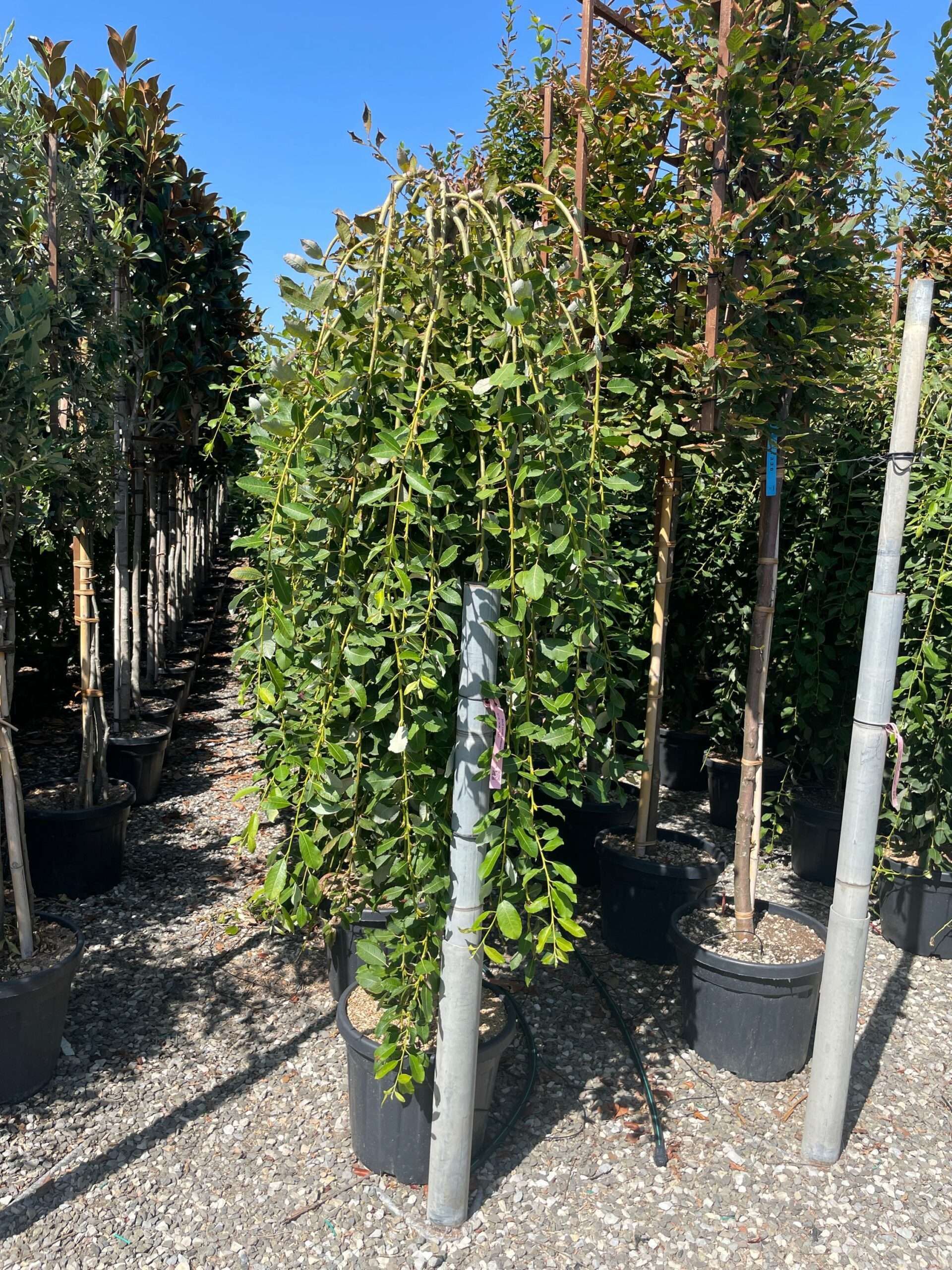 1692870196 scaled ffd73148