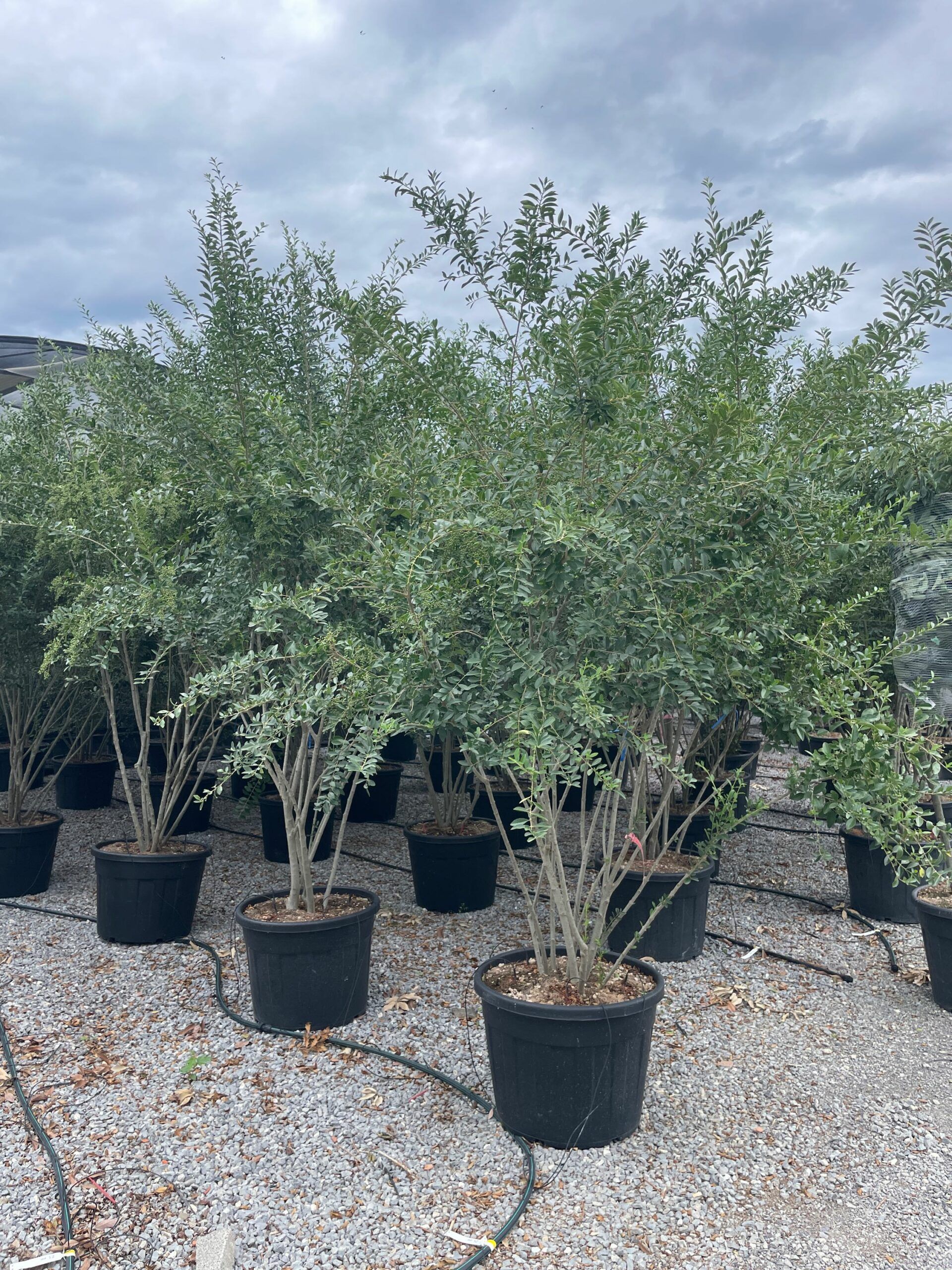 1695217069 scaled ff0c1cc9